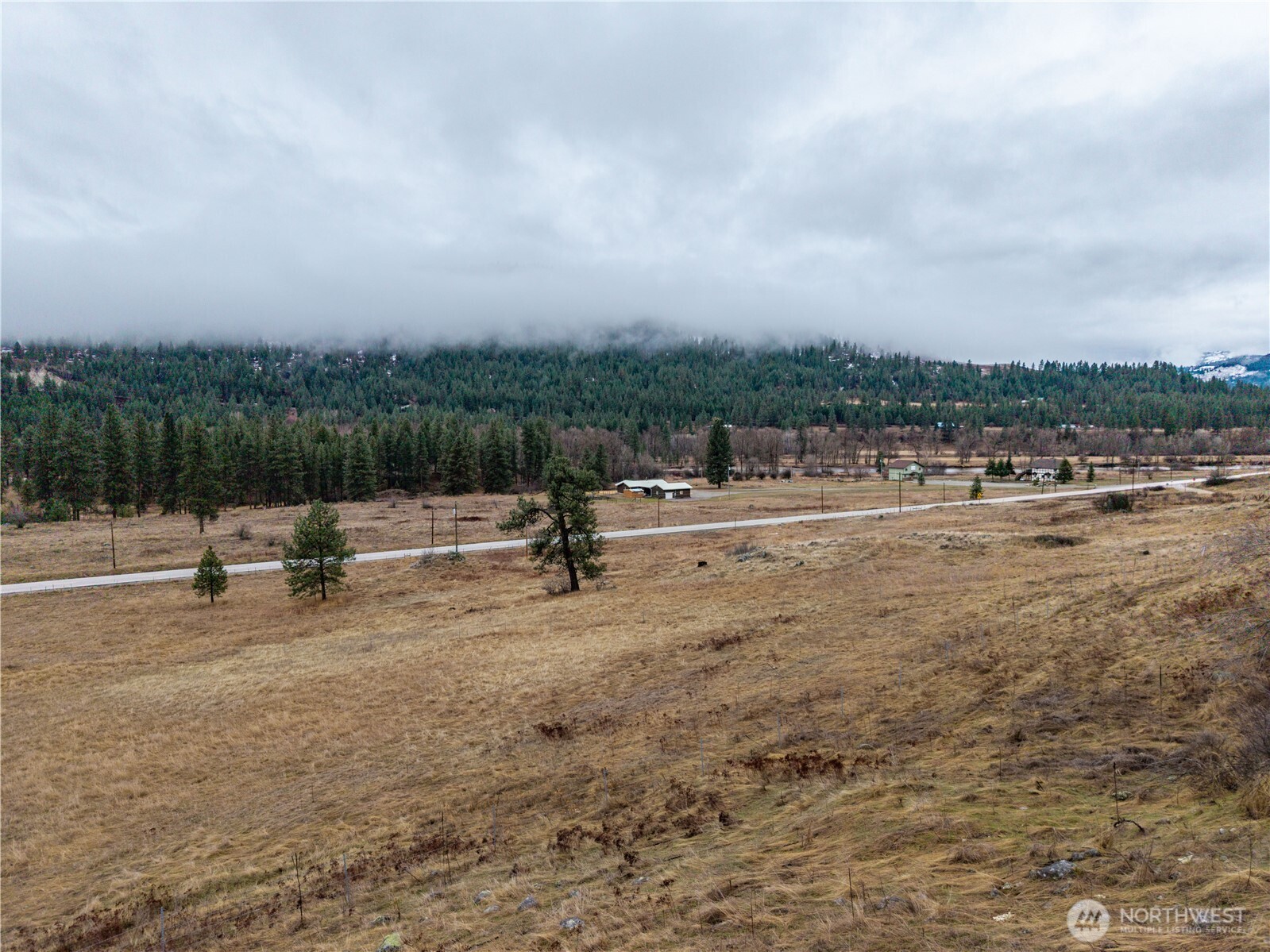 18277 Hwy 21 Property Photo 19
