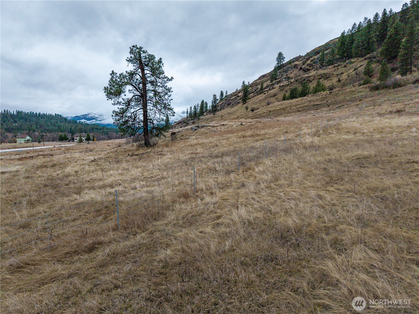 18277 Hwy 21 Property Photo 21