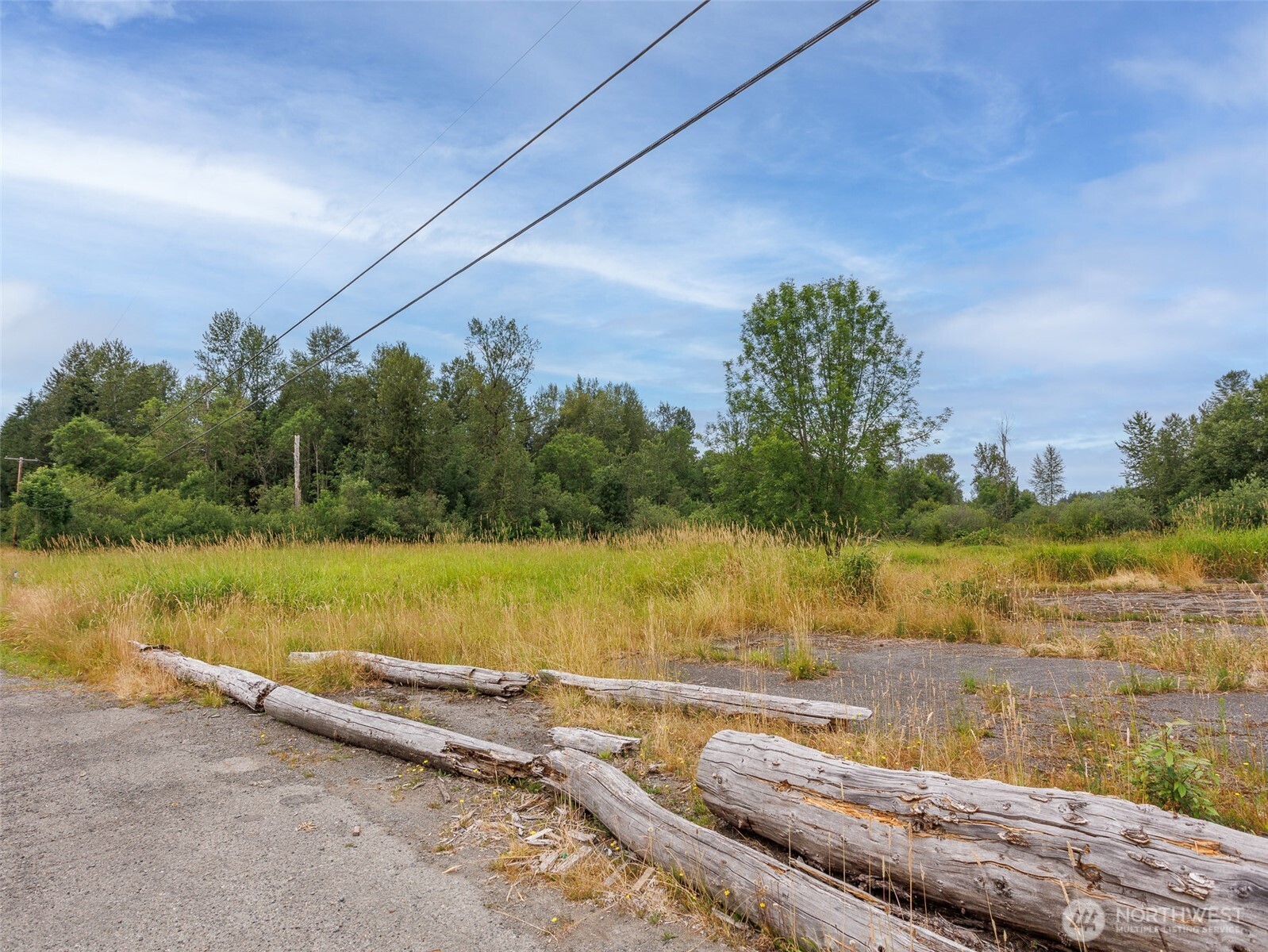 28314 Orting Kapowsin Highway Property Photo 11