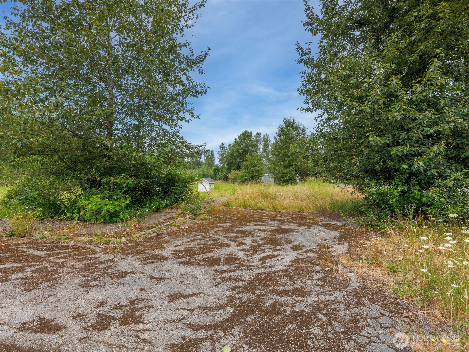 28314 Orting Kapowsin Highway Property Photo 12