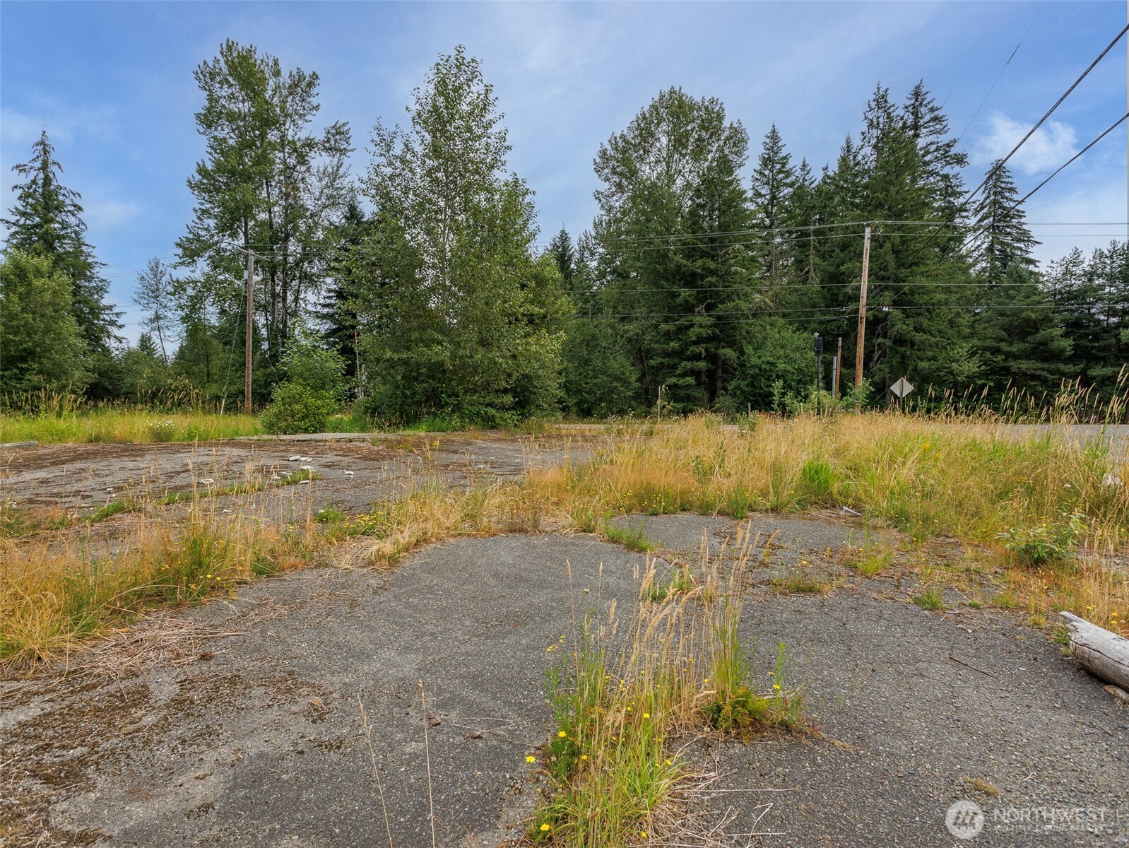 28314 Orting Kapowsin Highway Property Photo 13