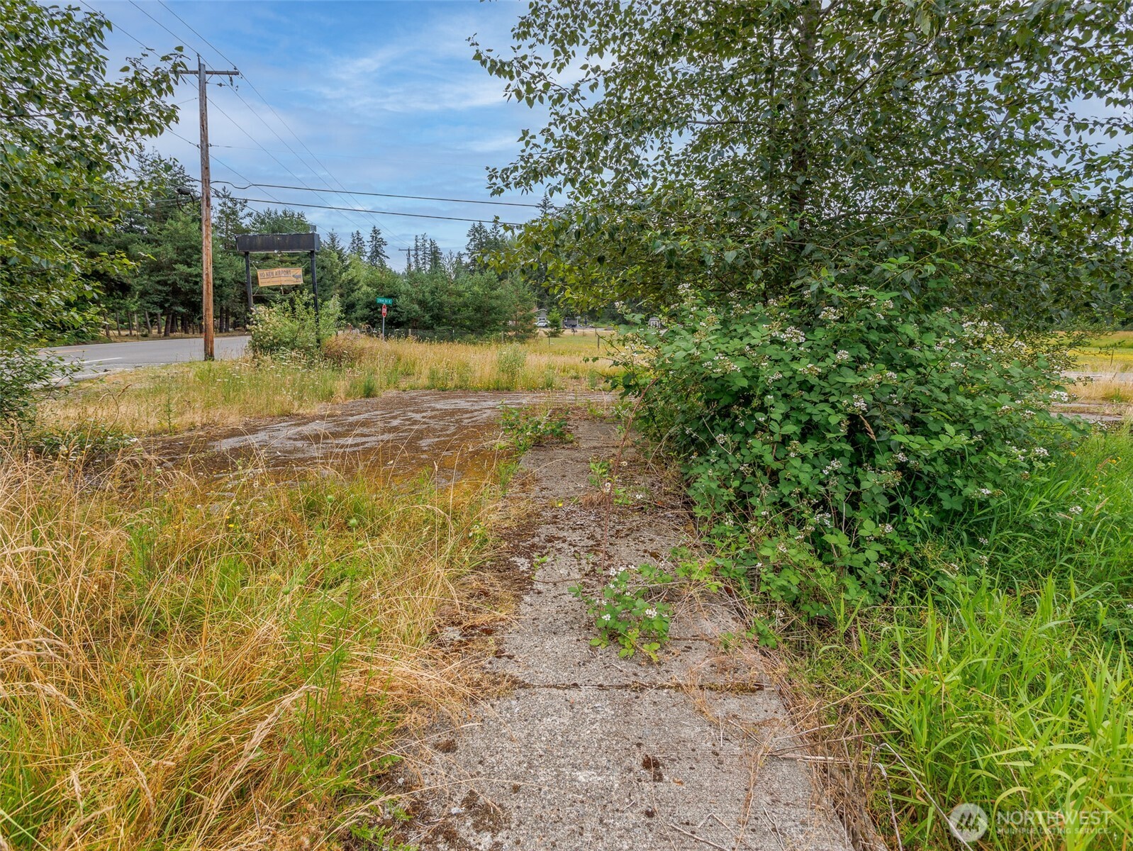 28314 Orting Kapowsin Highway Property Photo 14