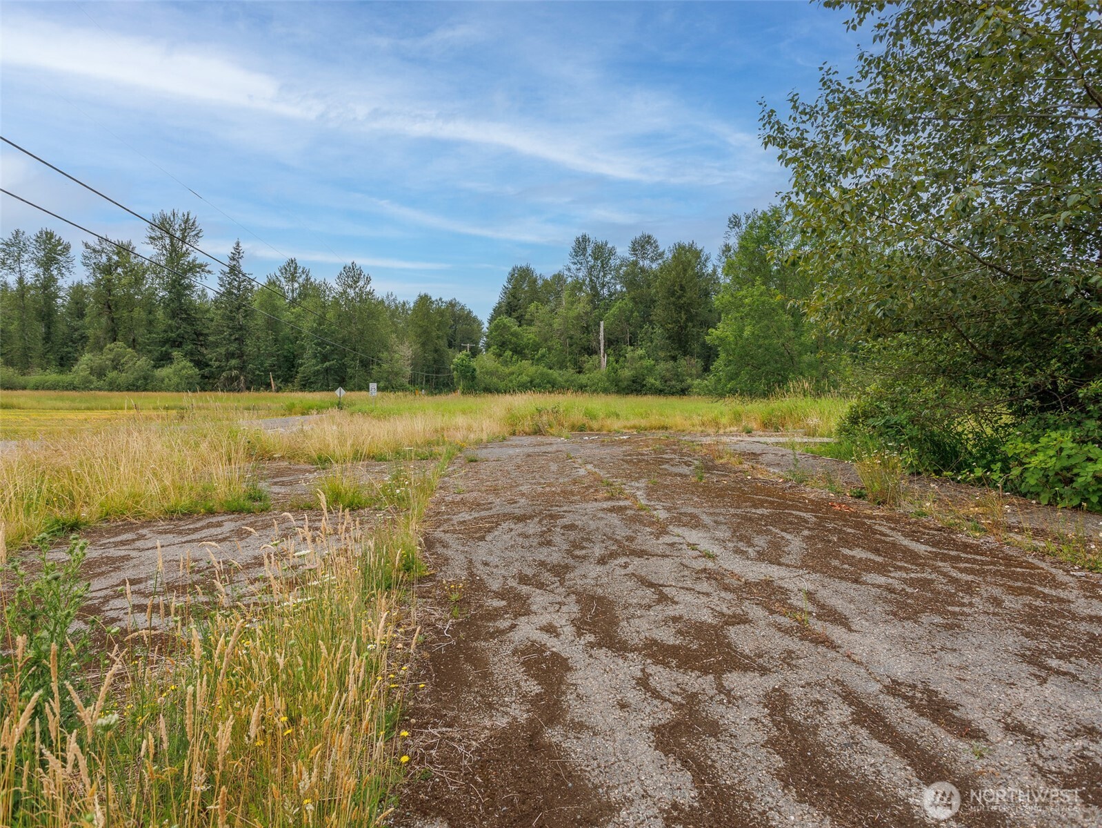 28314 Orting Kapowsin Highway Property Photo 15