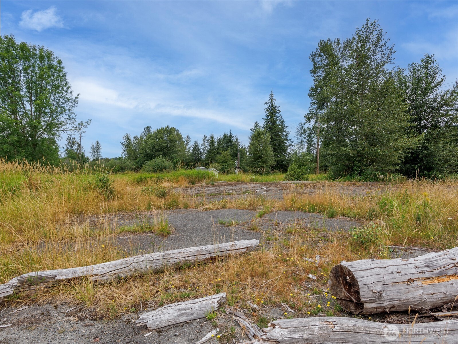 28314 Orting Kapowsin Highway Property Photo 16