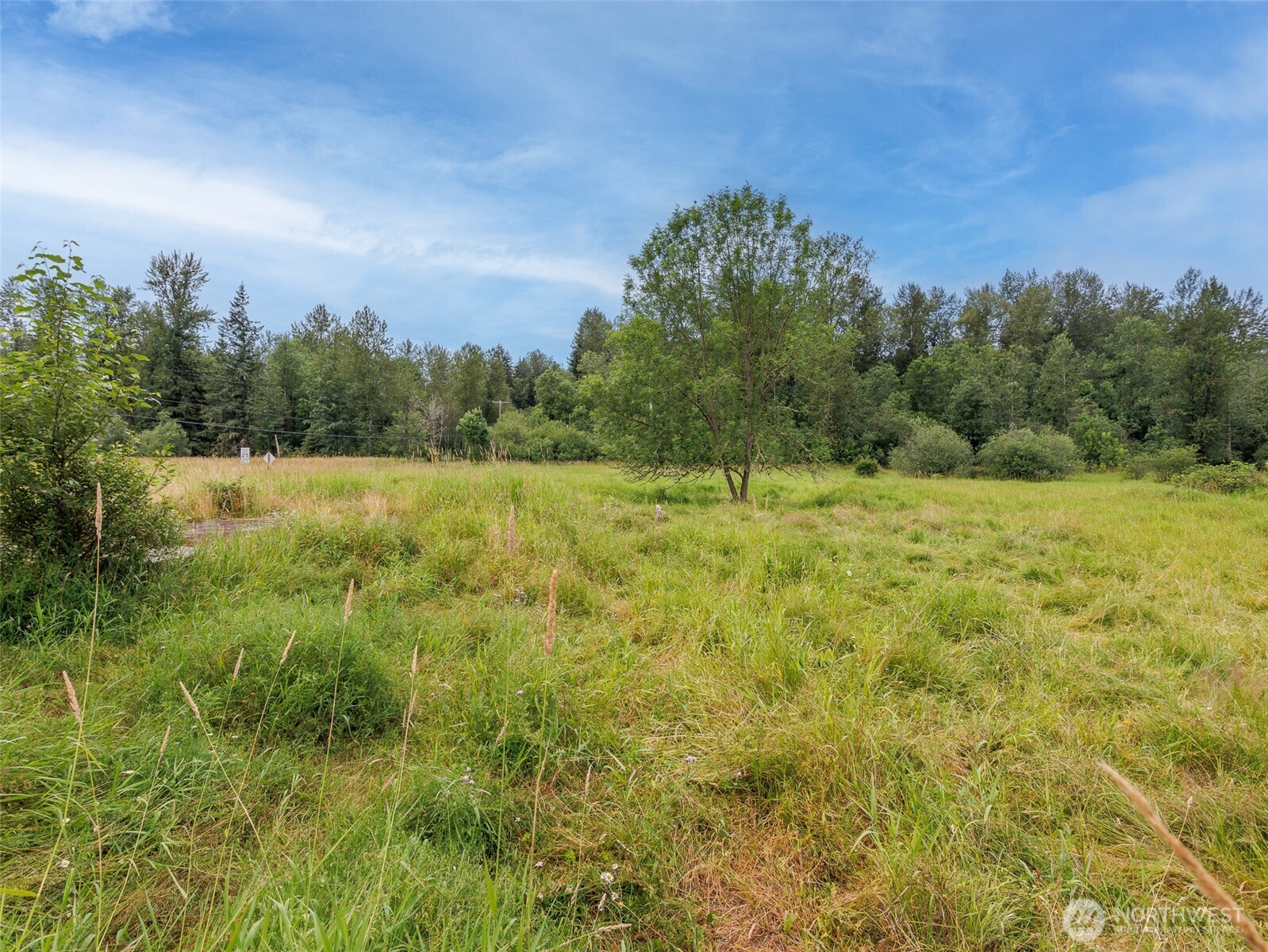 28314 Orting Kapowsin Highway Property Photo 17