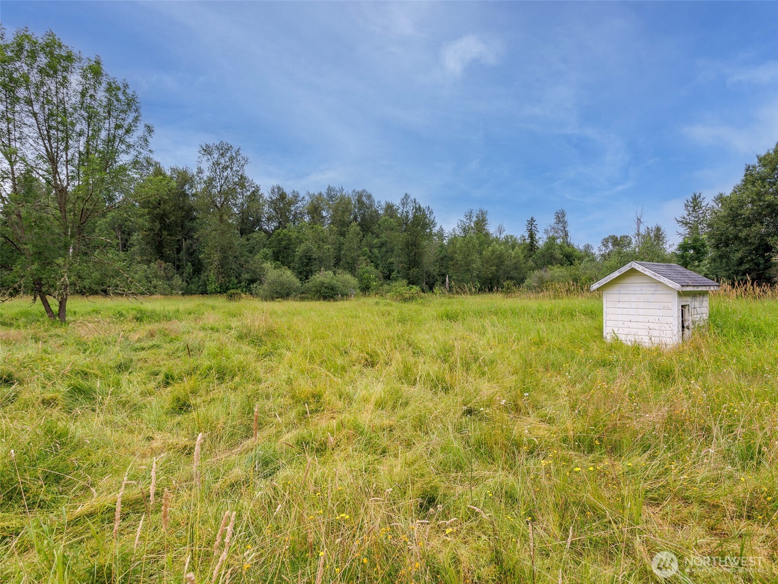 28314 Orting Kapowsin Highway Property Photo 18