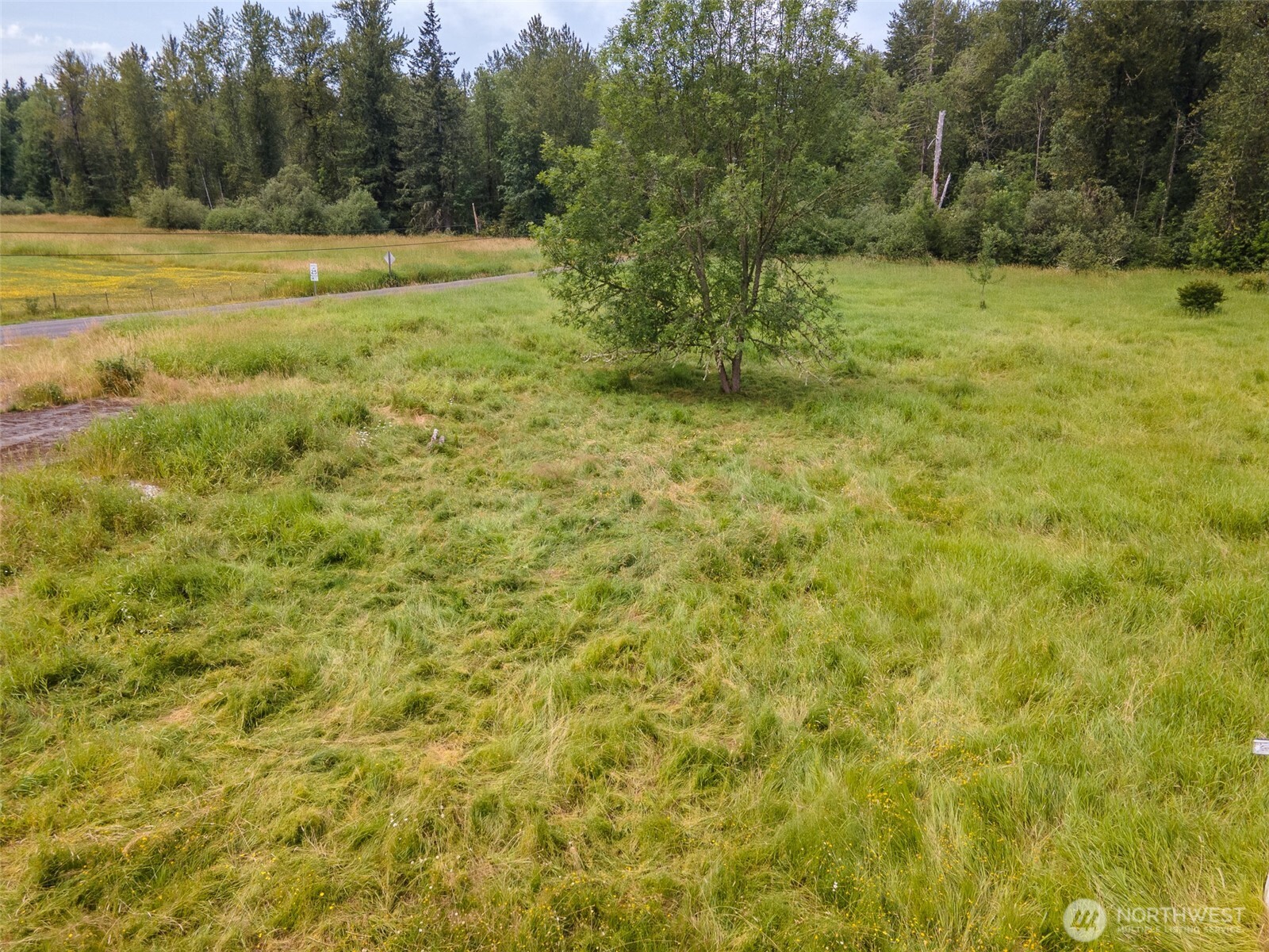 28314 Orting Kapowsin Highway Property Photo 20
