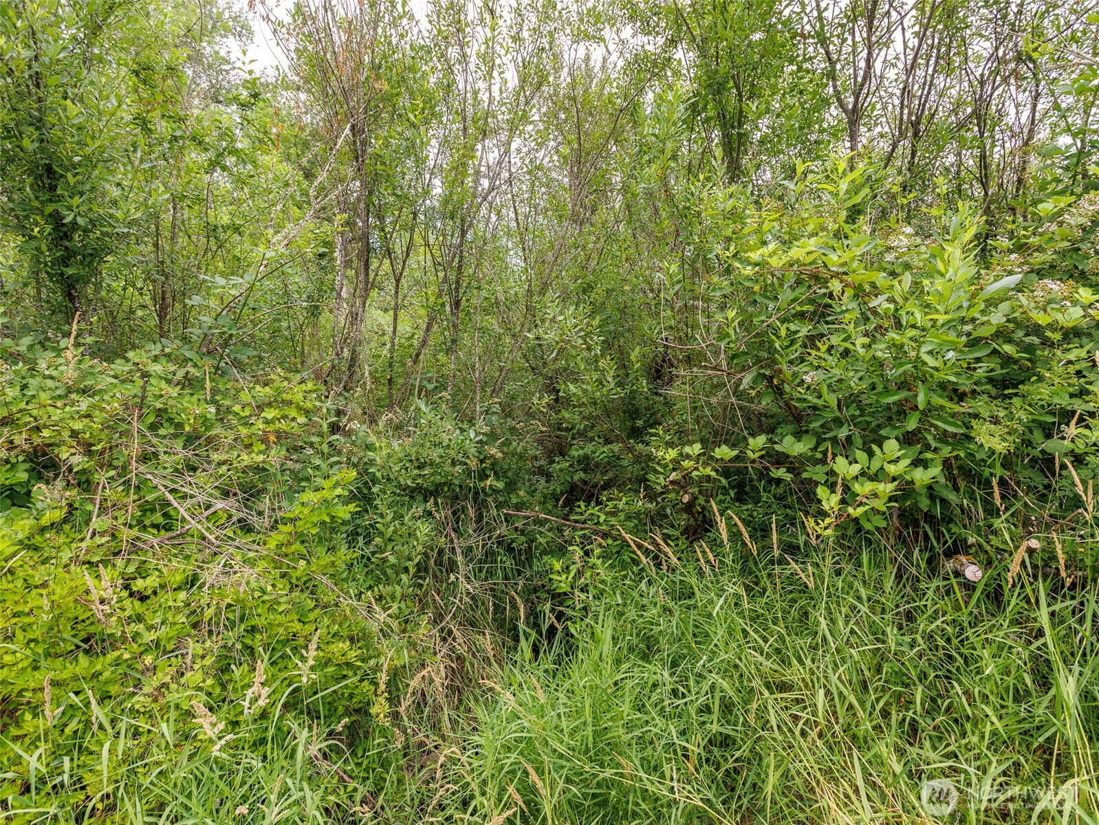 28314 Orting Kapowsin Highway Property Photo 23