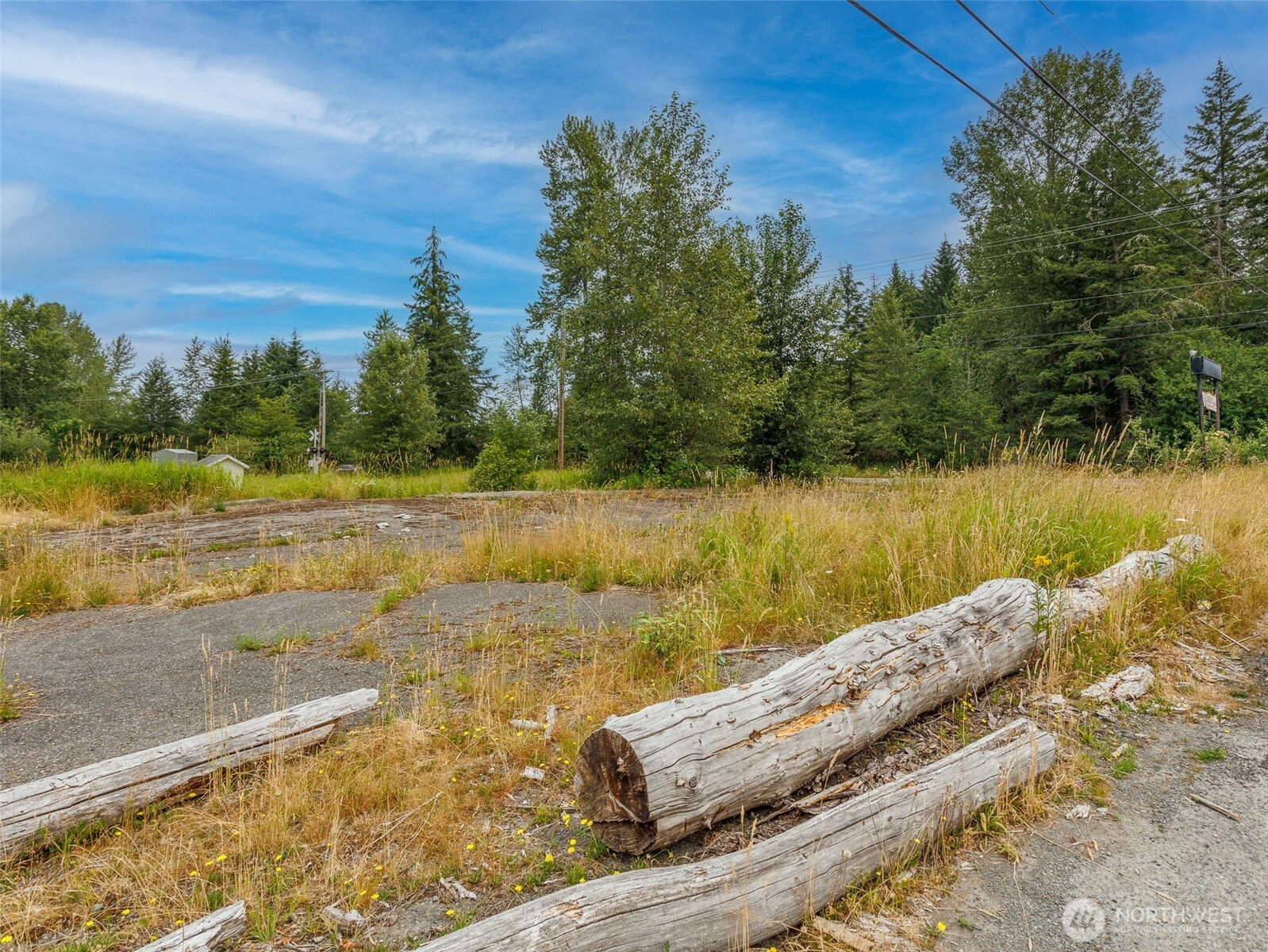 28314 Orting Kapowsin Highway Property Photo 25