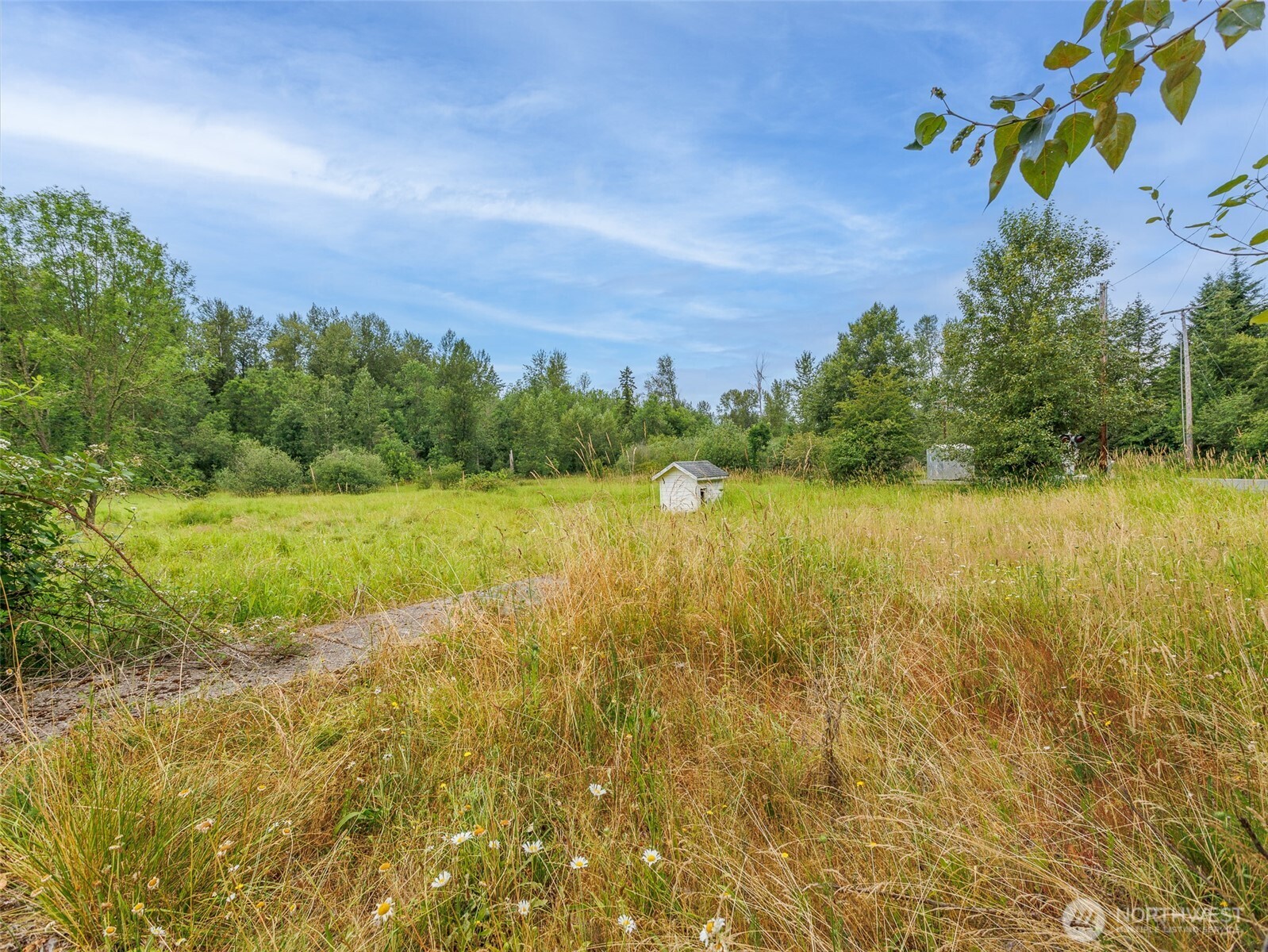 28314 Orting Kapowsin Highway Property Photo 26