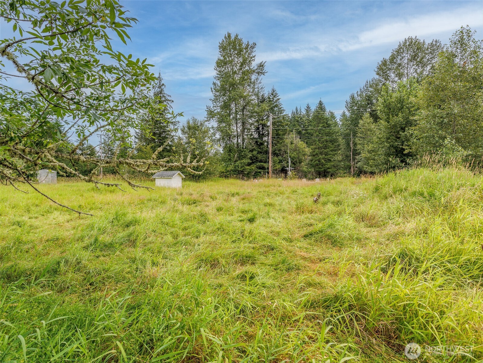 28314 Orting Kapowsin Highway Property Photo 27