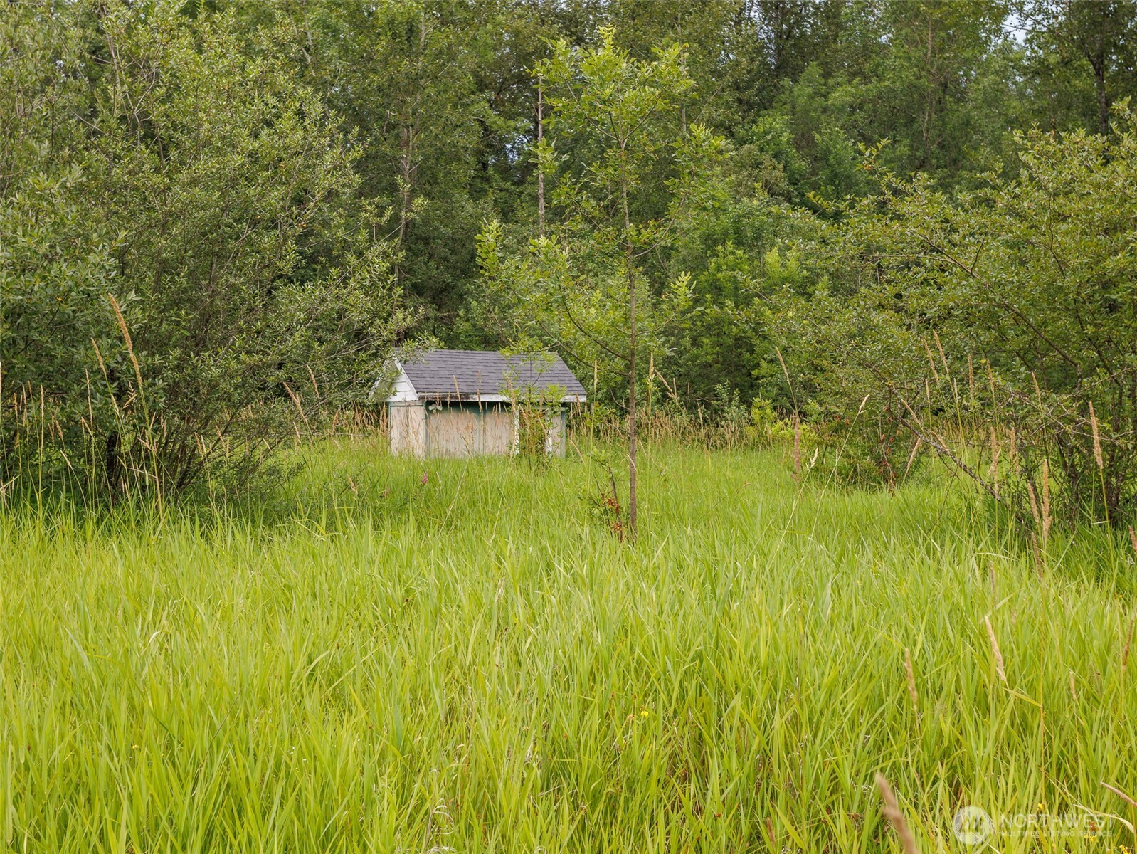 28314 Orting Kapowsin Highway Property Photo 28