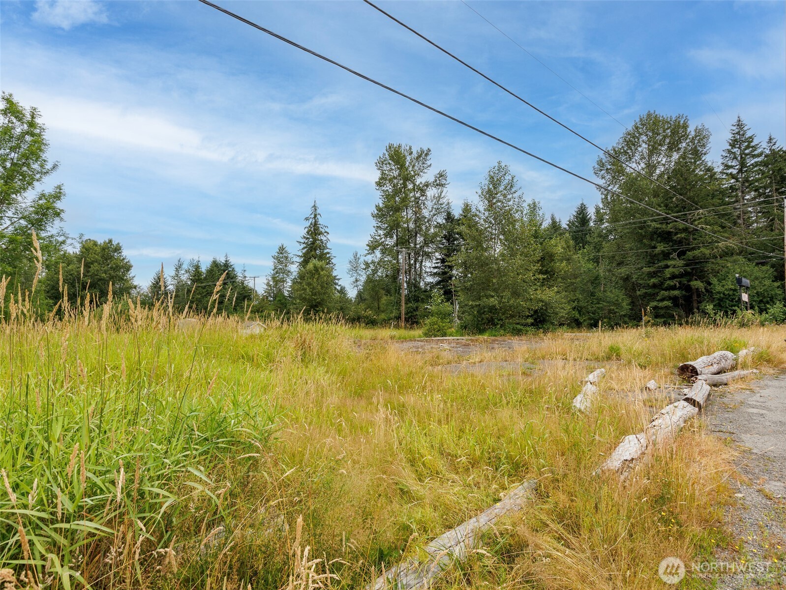 28314 Orting Kapowsin Highway Property Photo 29