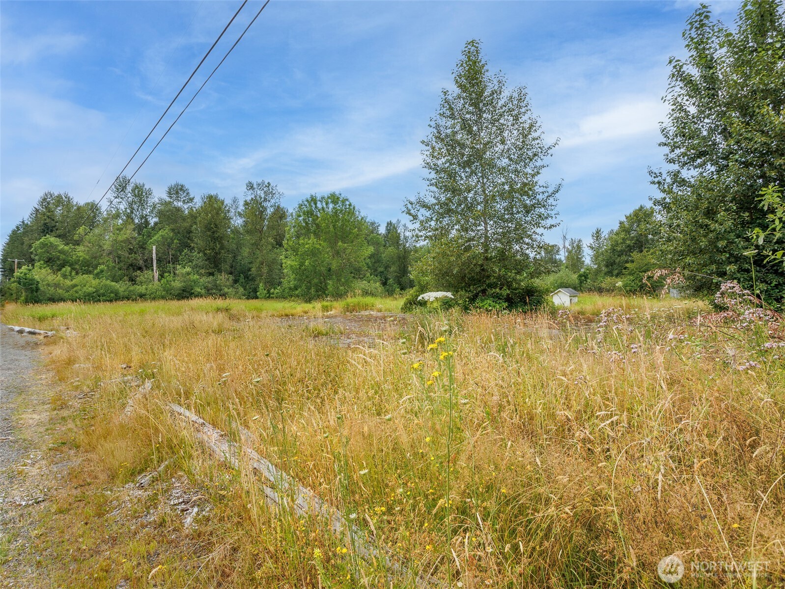 28314 Orting Kapowsin Highway Property Photo 30