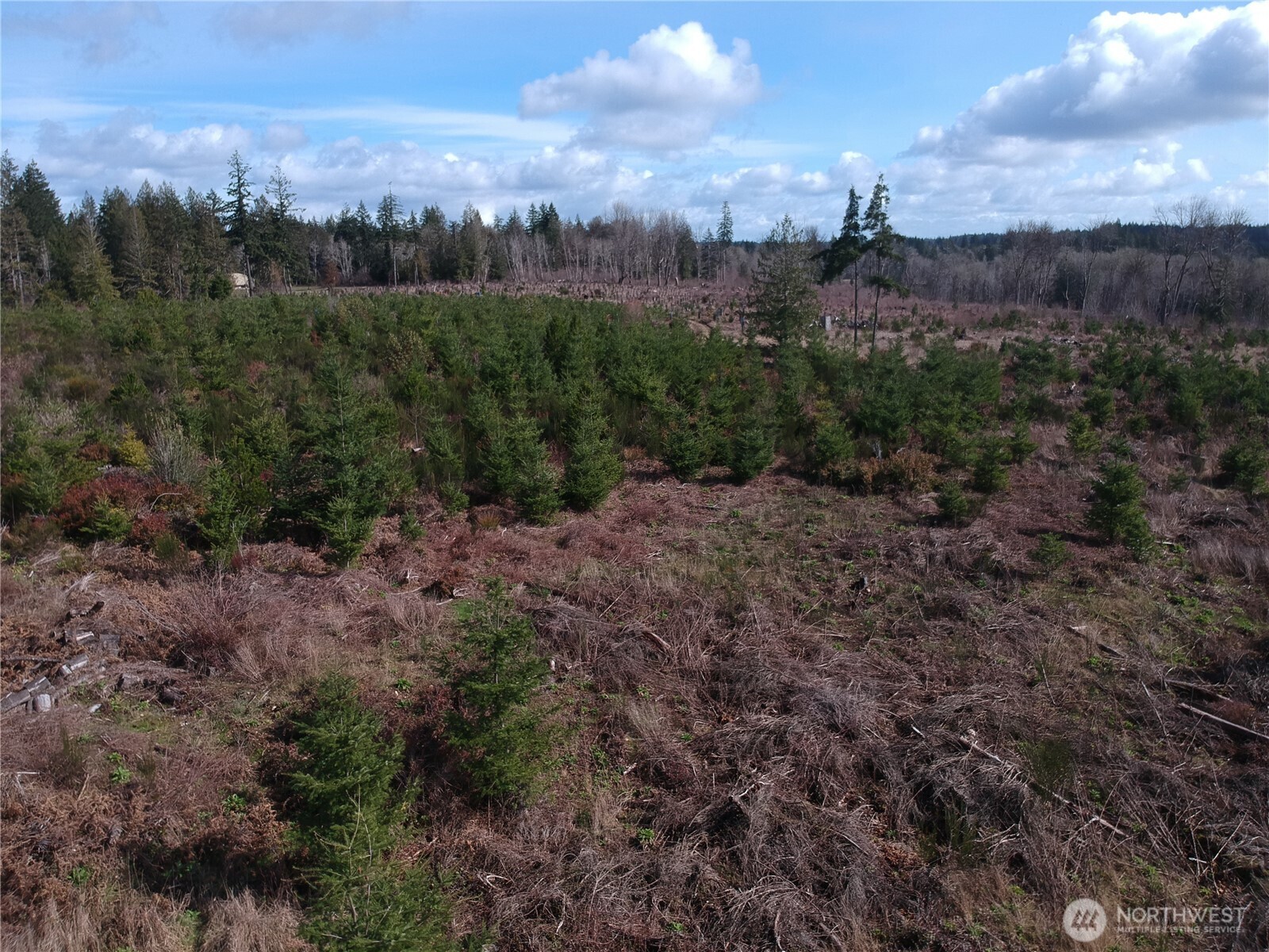 874 E Daniels Road Property Photo