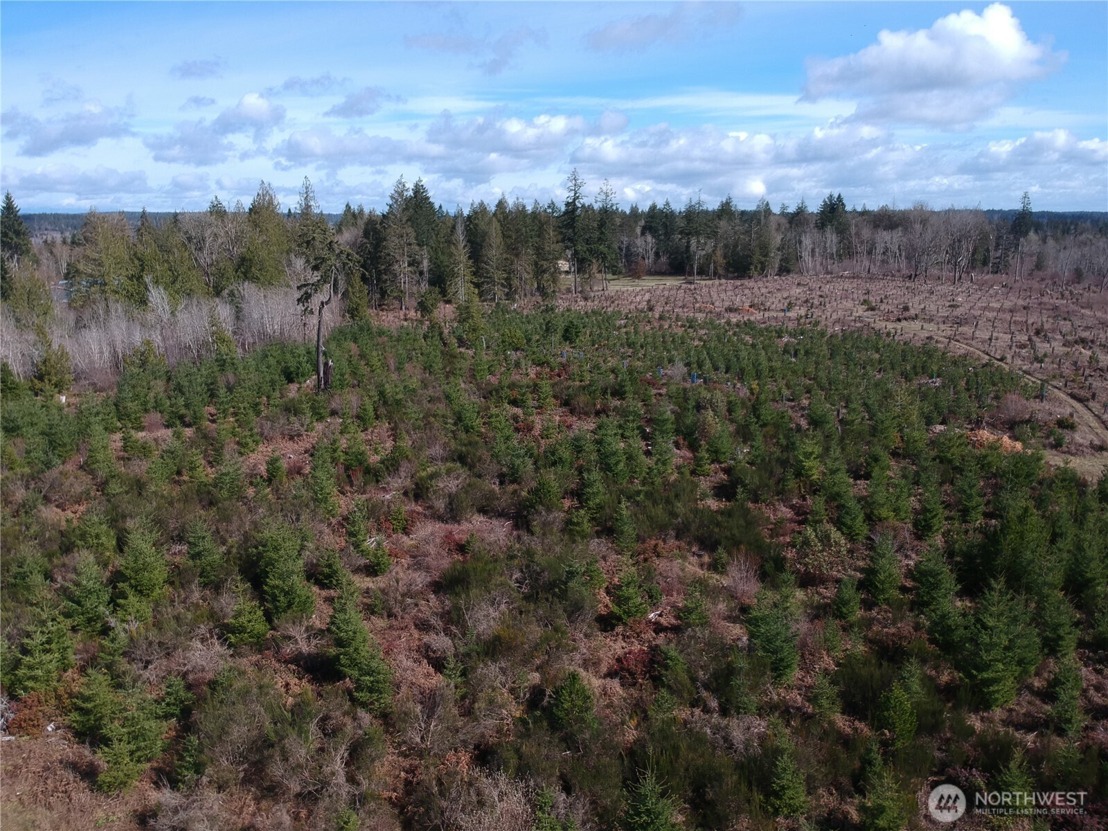 874 E Daniels Road Property Photo 3
