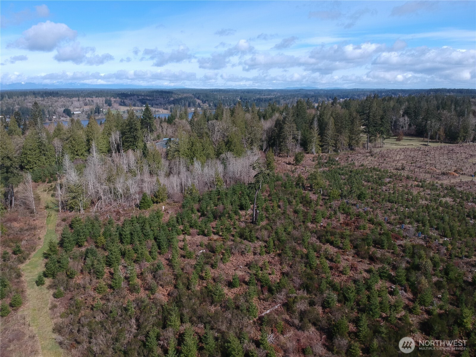 874 E Daniels Road Property Photo 4