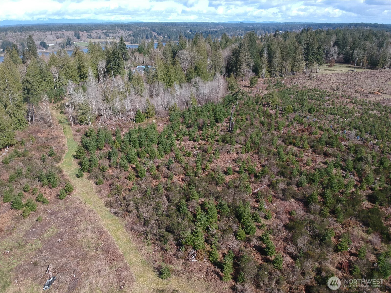 874 E Daniels Road Property Photo 8
