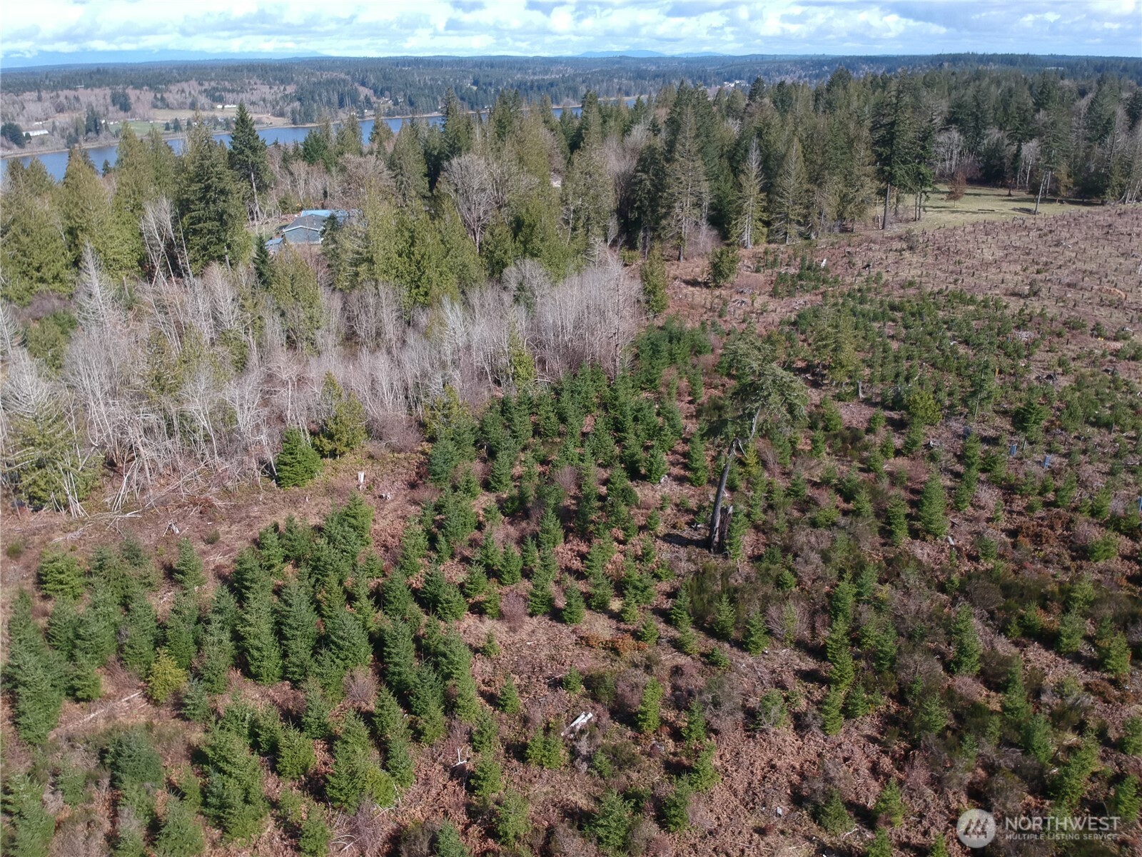 874 E Daniels Road Property Photo 9
