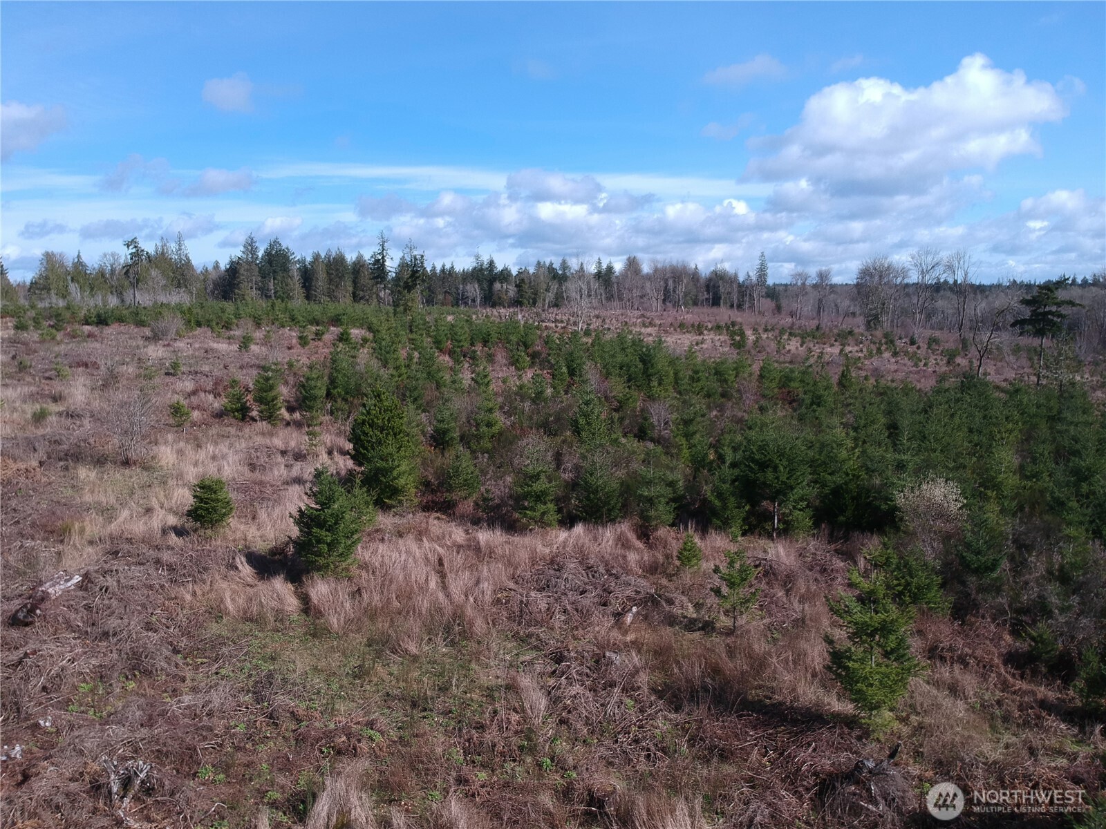 870 E Daniels Road Property Photo 2