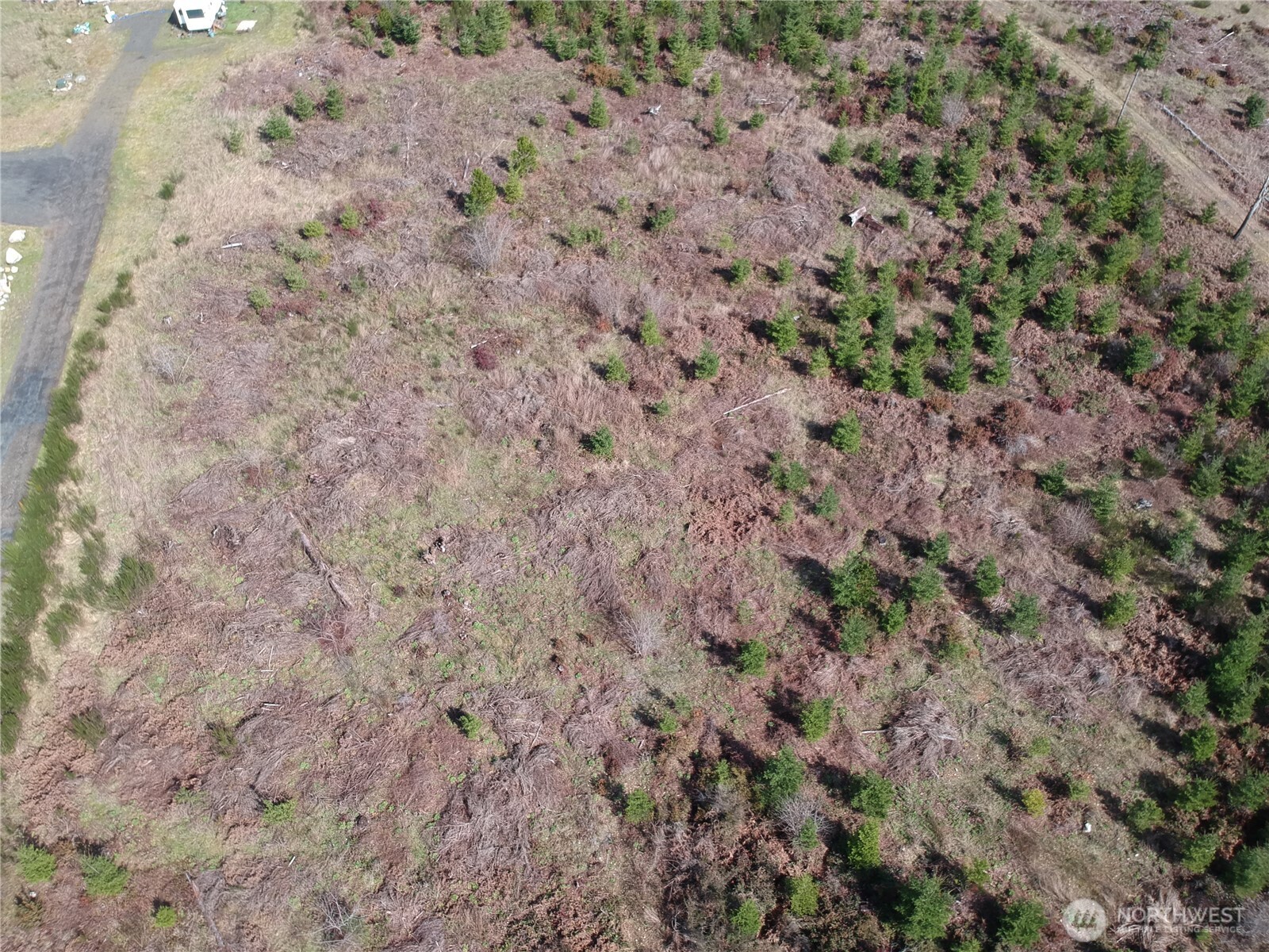 870 E Daniels Road Property Photo 6