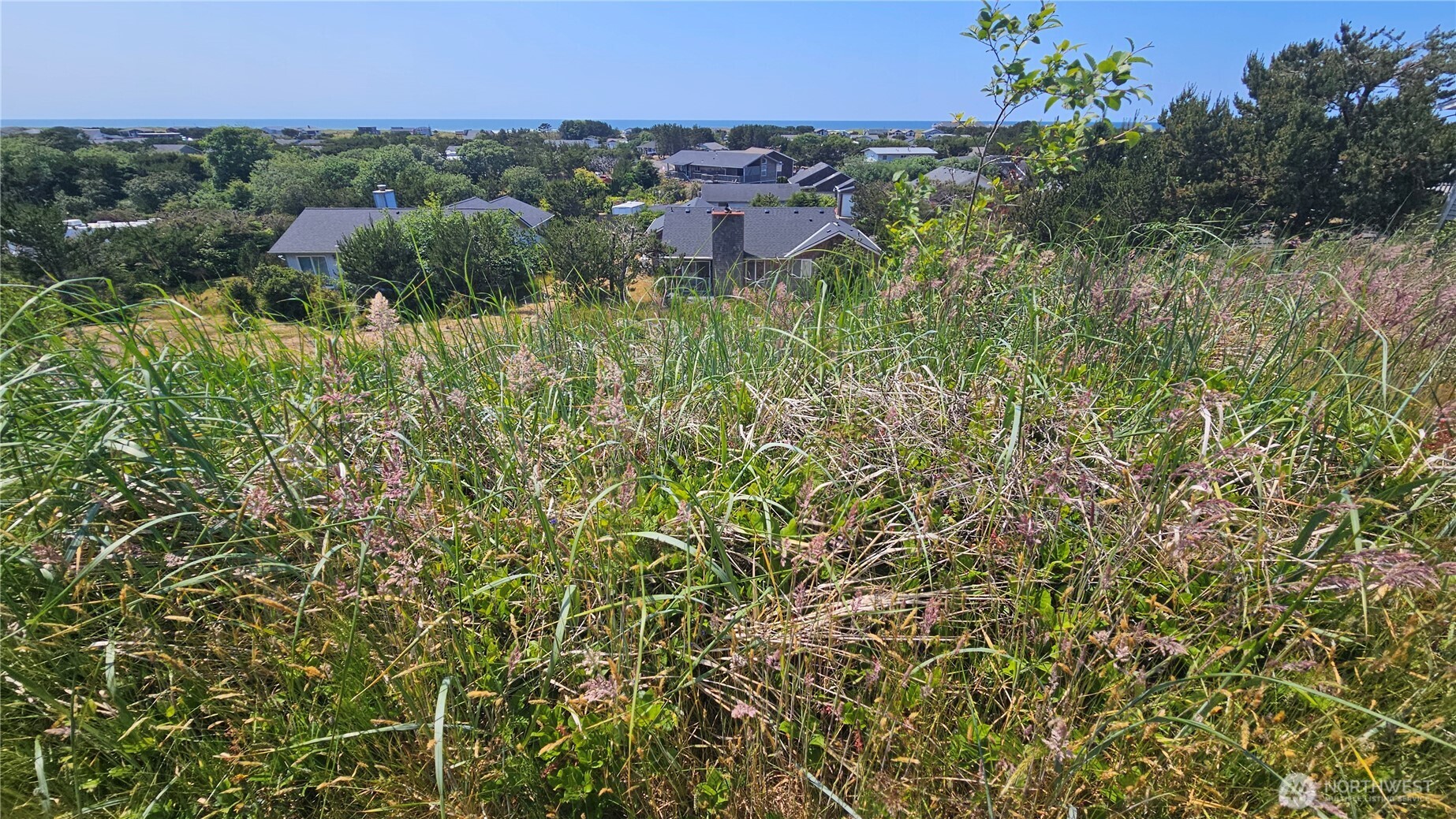 35207 J Place Property Photo 4