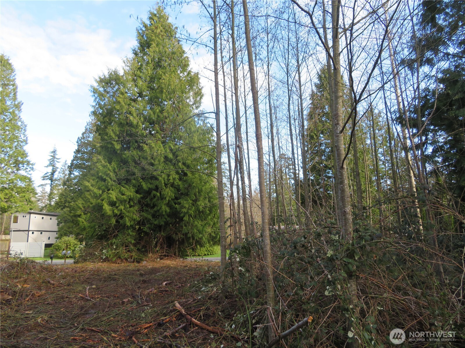 4641 California Trail Property Photo 1