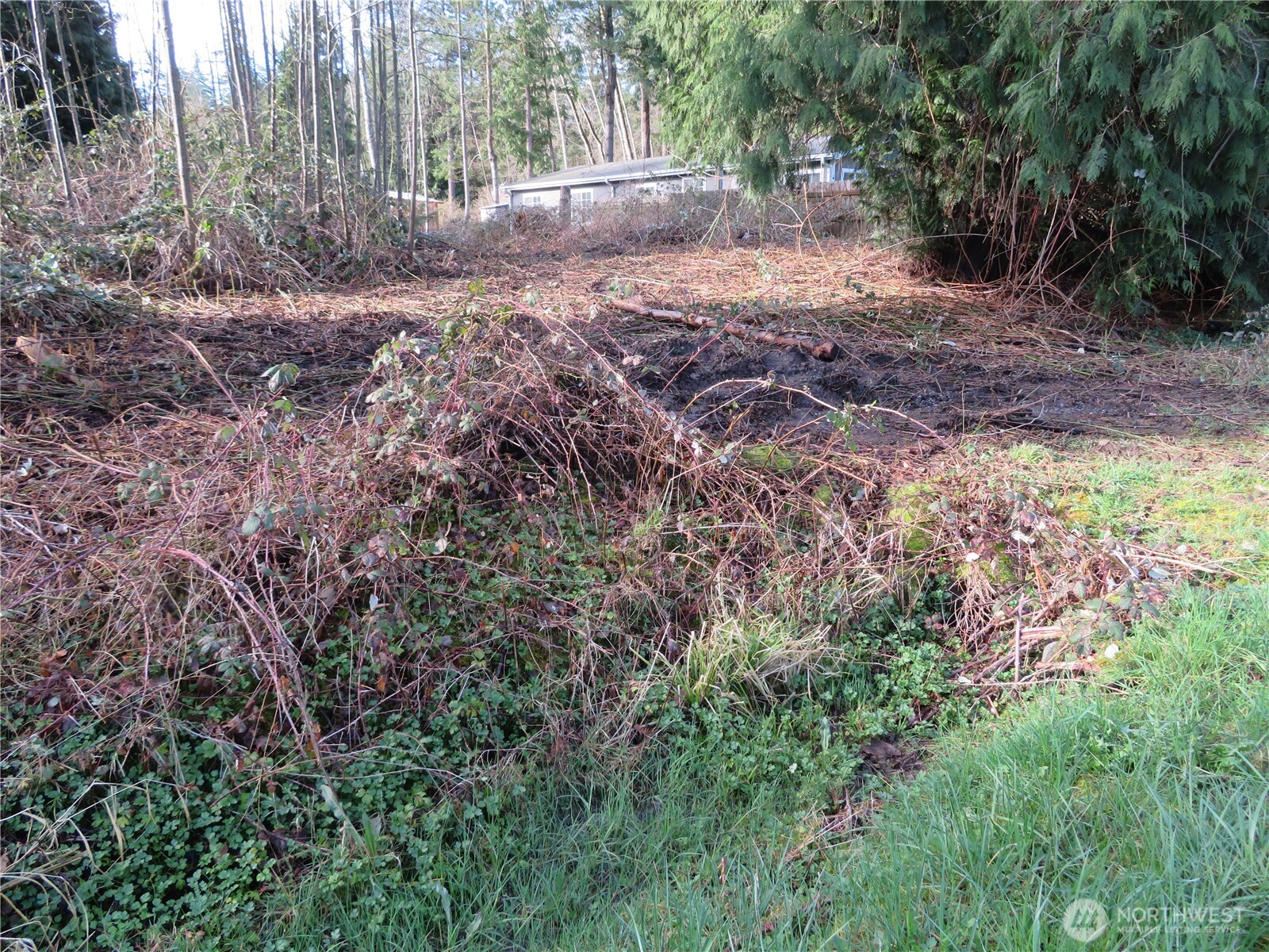 4641 California Trail Property Photo 5