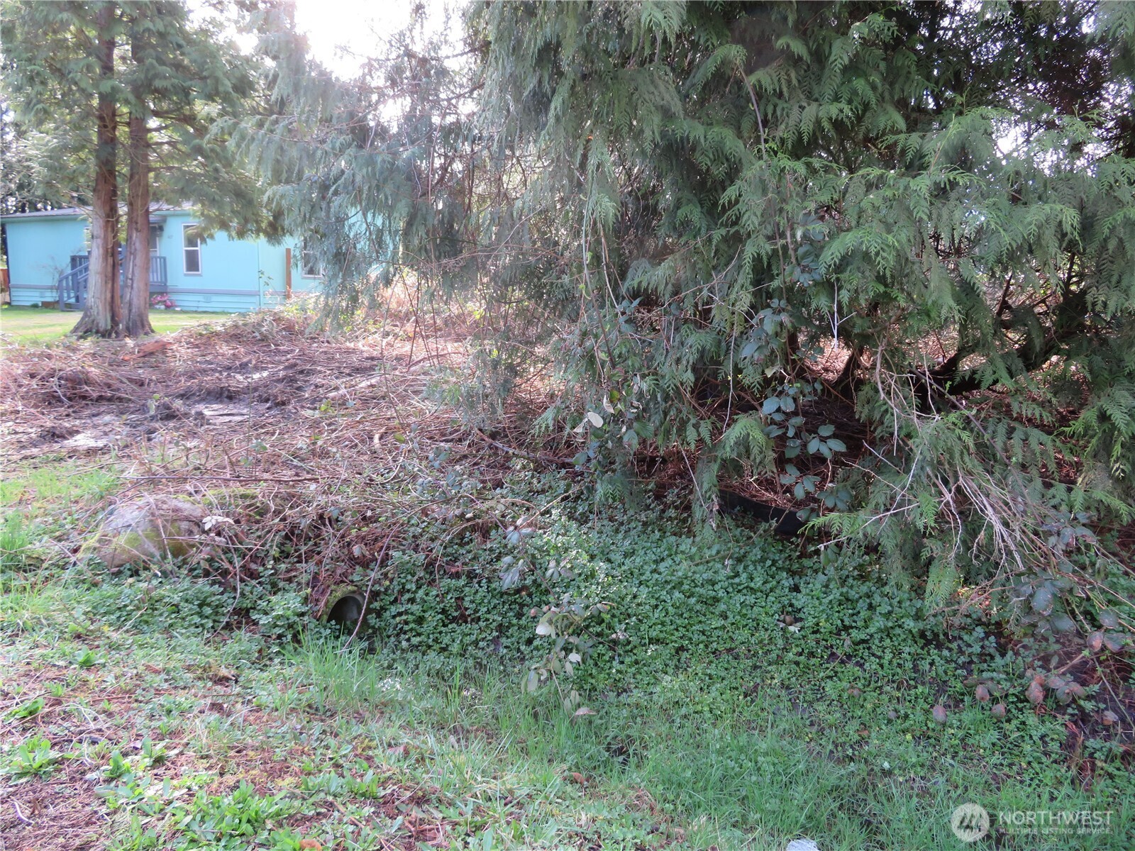 4641 California Trail Property Photo 6