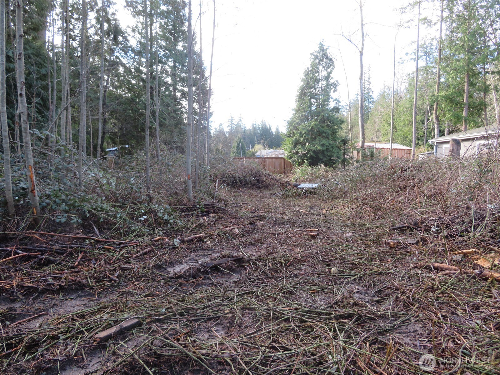4641 California Trail Property Photo 7