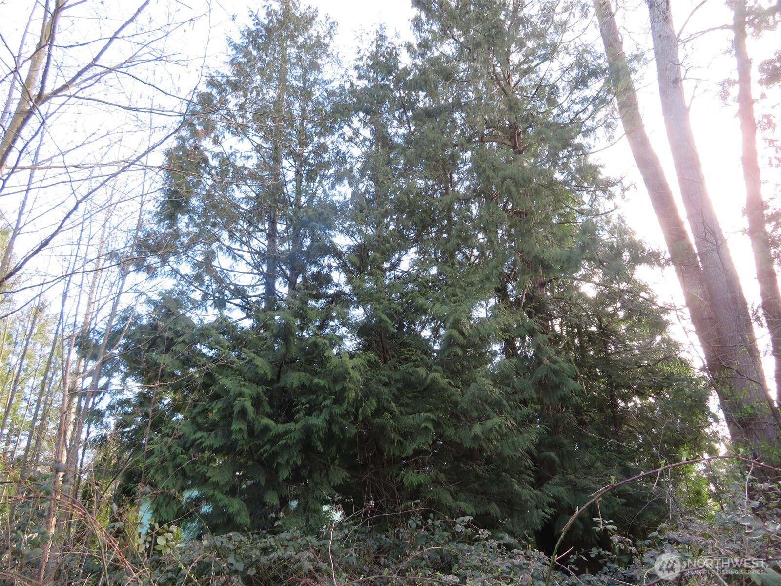 4641 California Trail Property Photo 9