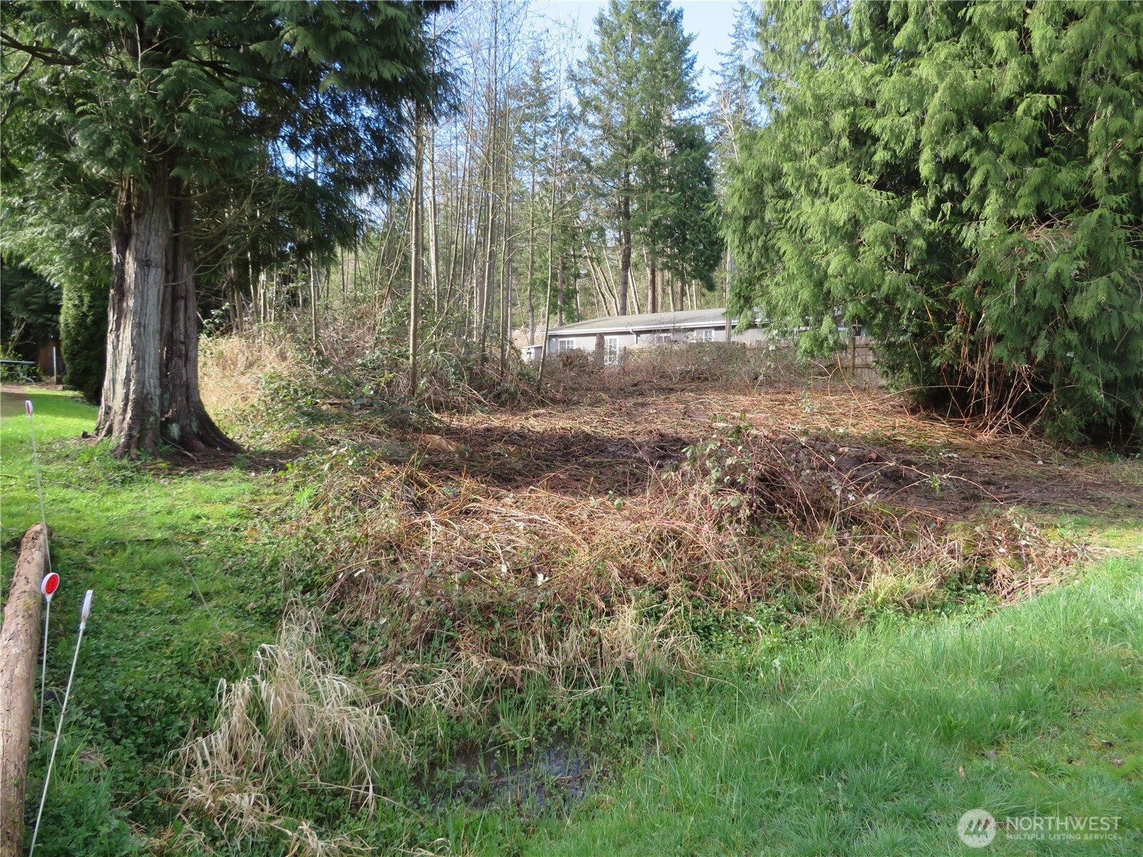 4641 California Trail Property Photo 13