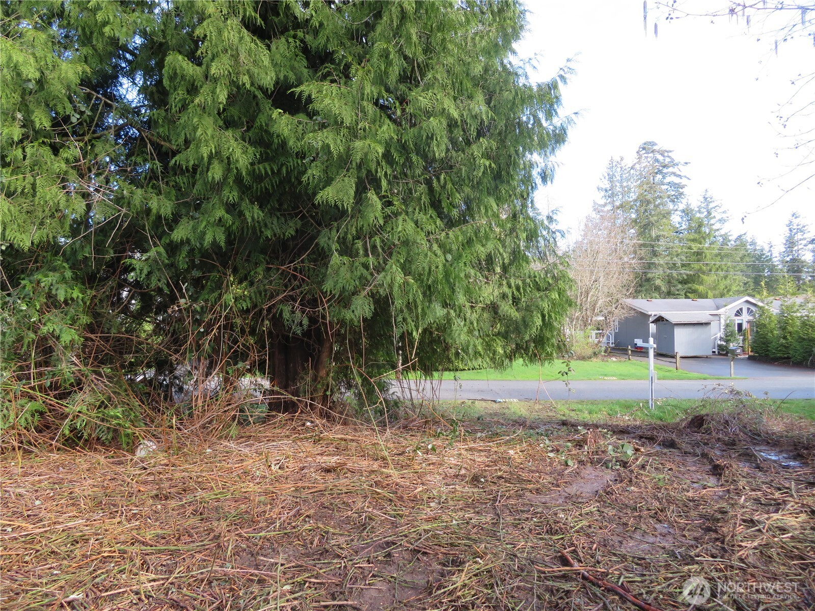 4641 California Trail Property Photo 14