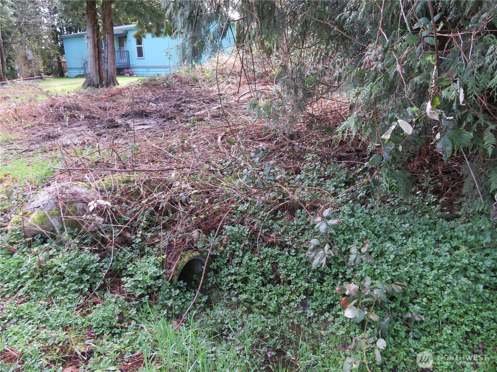 4641 California Trail Property Photo 19
