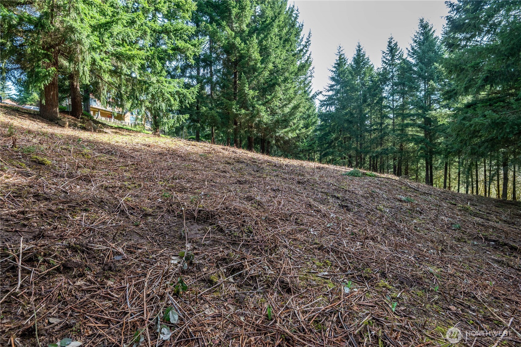 324 Champion Road Property Photo 6