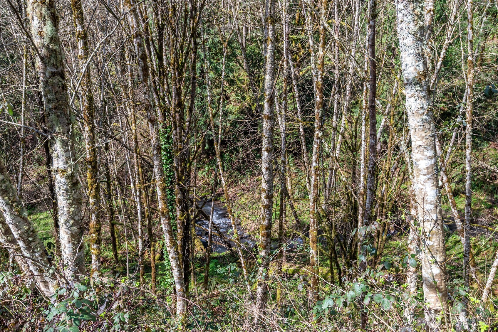 324 Champion Road Property Photo 9