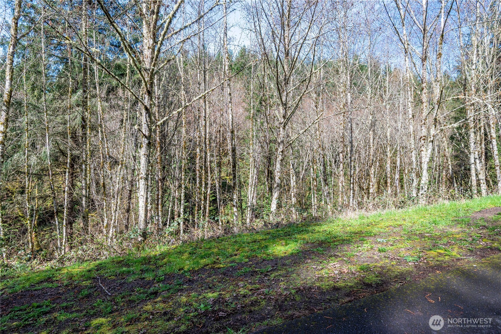 324 Champion Road Property Photo 12