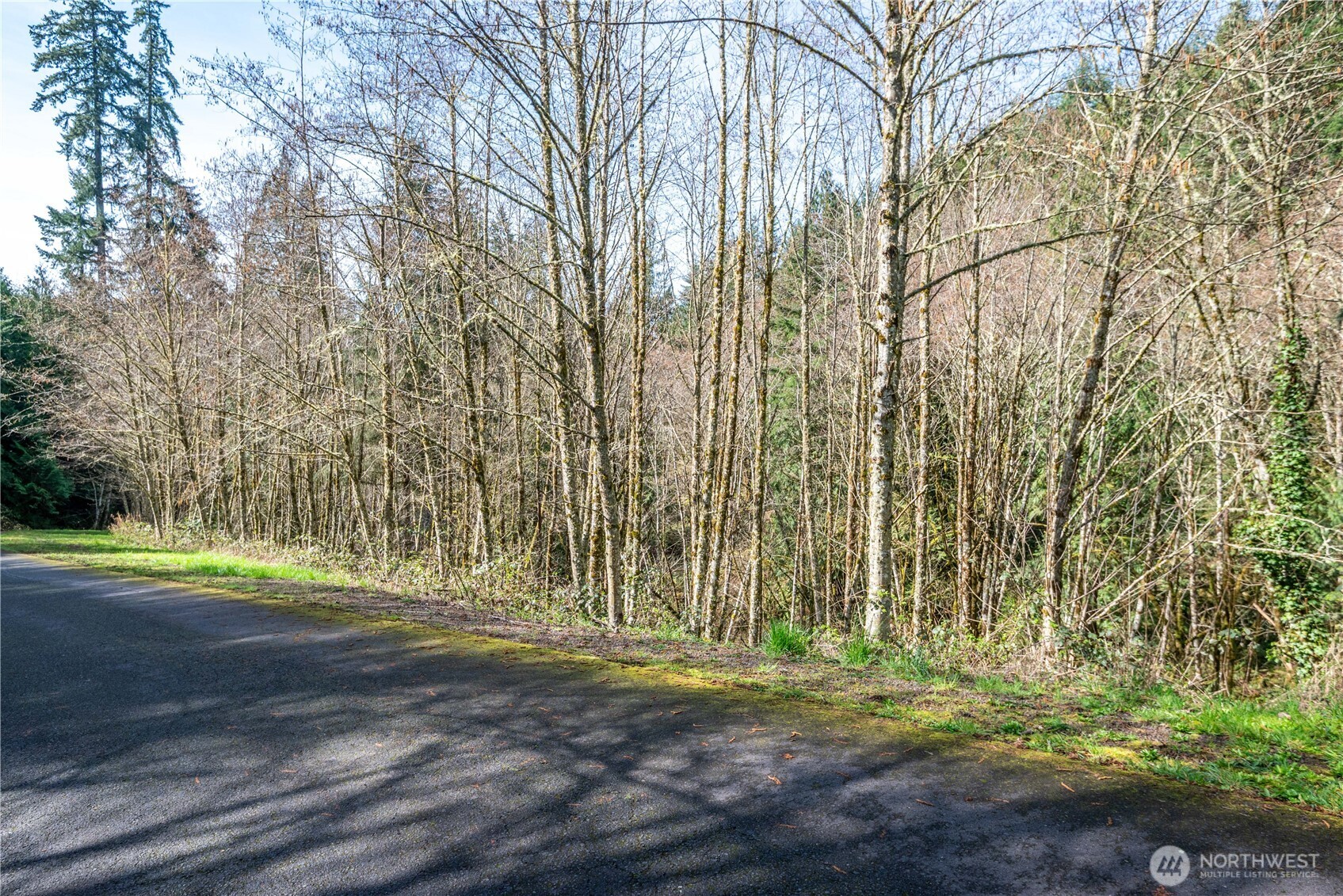324 Champion Road Property Photo 13