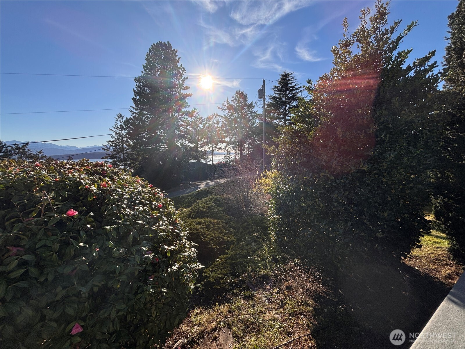 141 Sunset Boulevard Property Photo 32