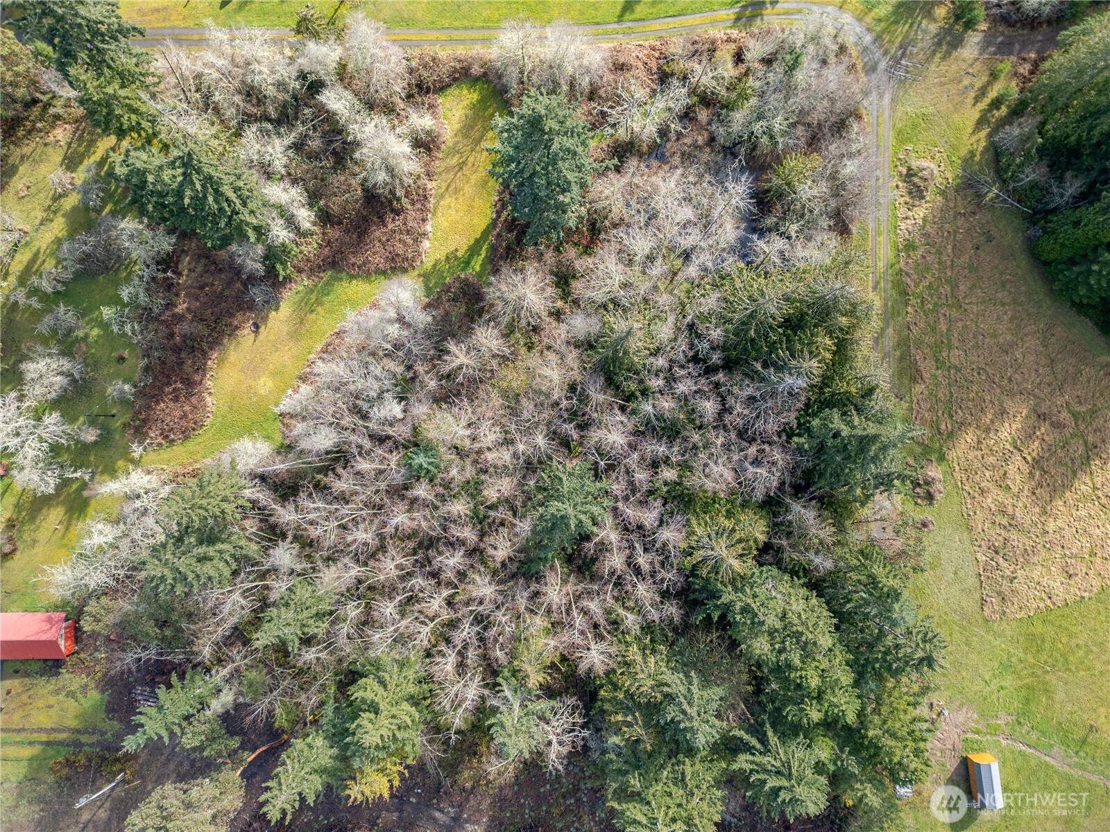 313 Doyle Road Property Photo 40