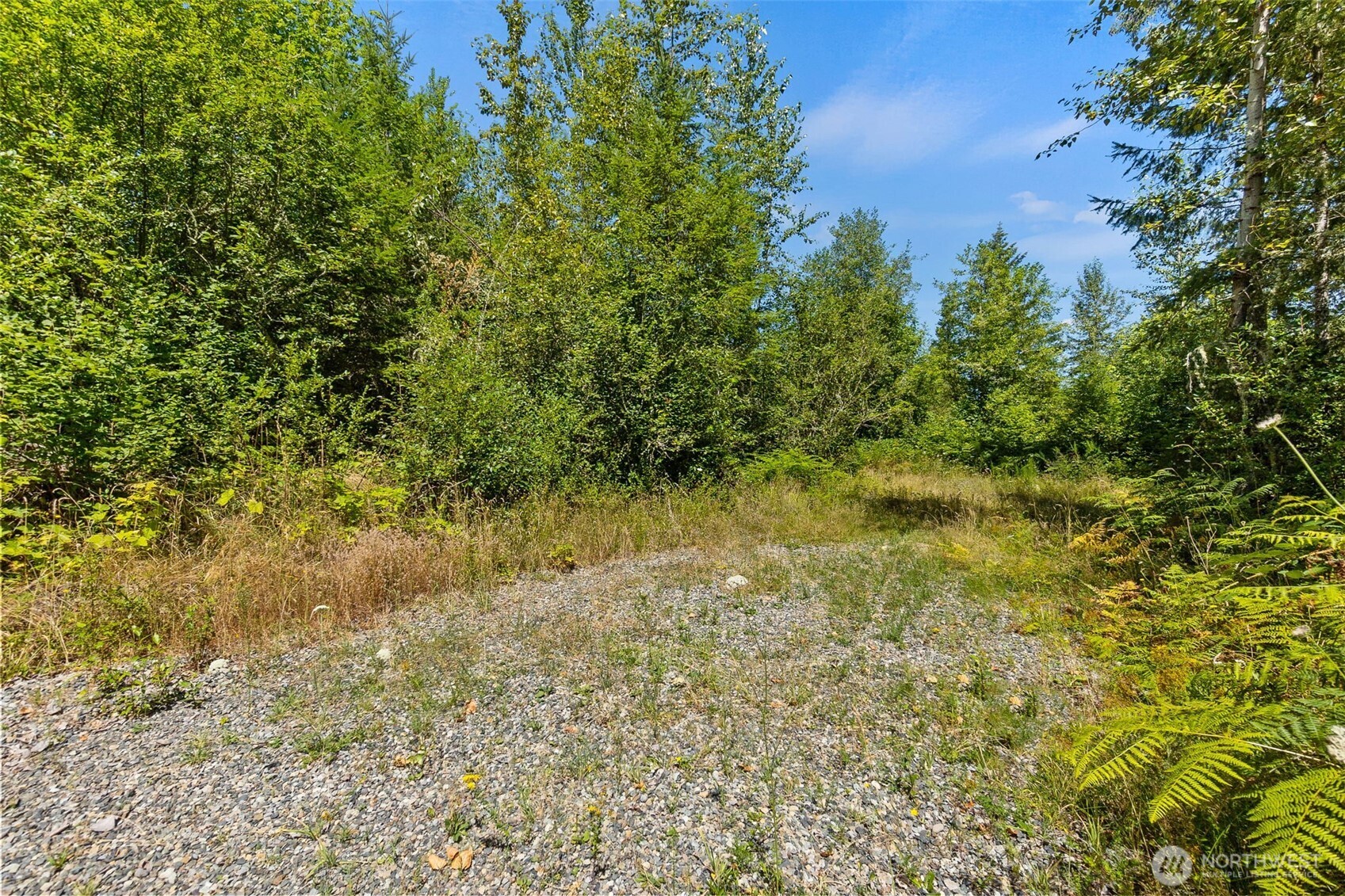 4321 Harts Lake Road Property Photo 4
