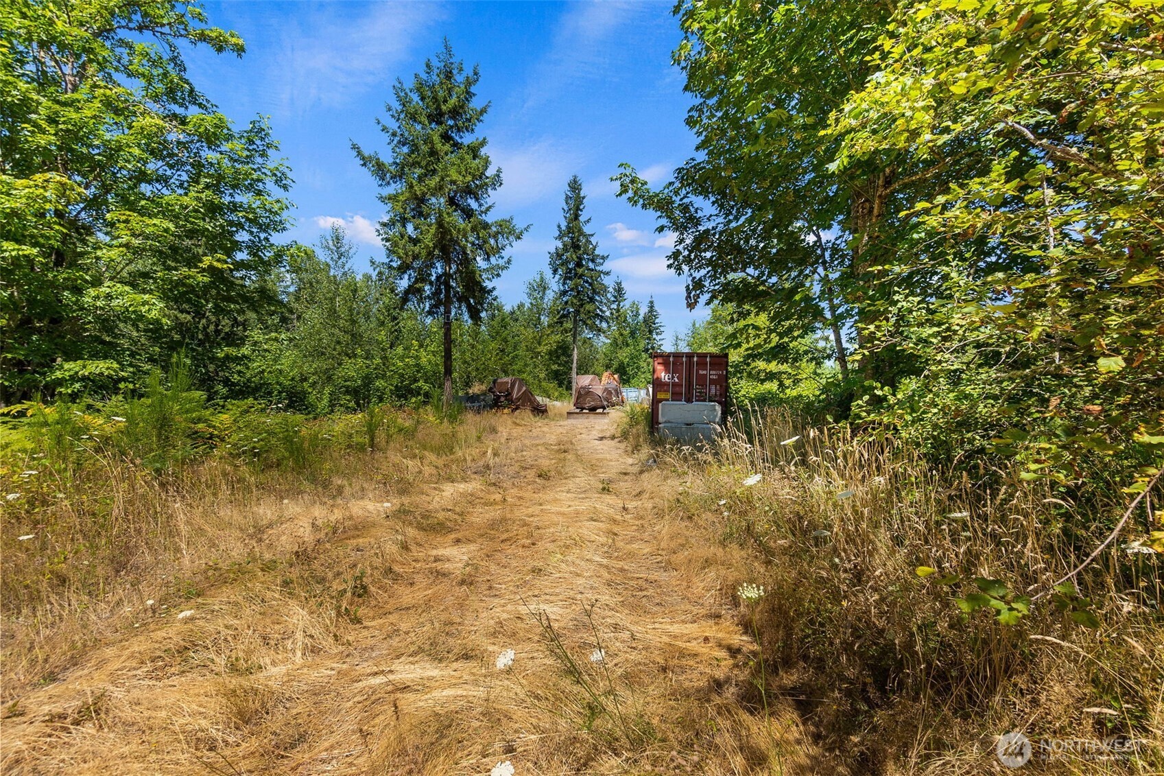 4321 Harts Lake Road Property Photo 6