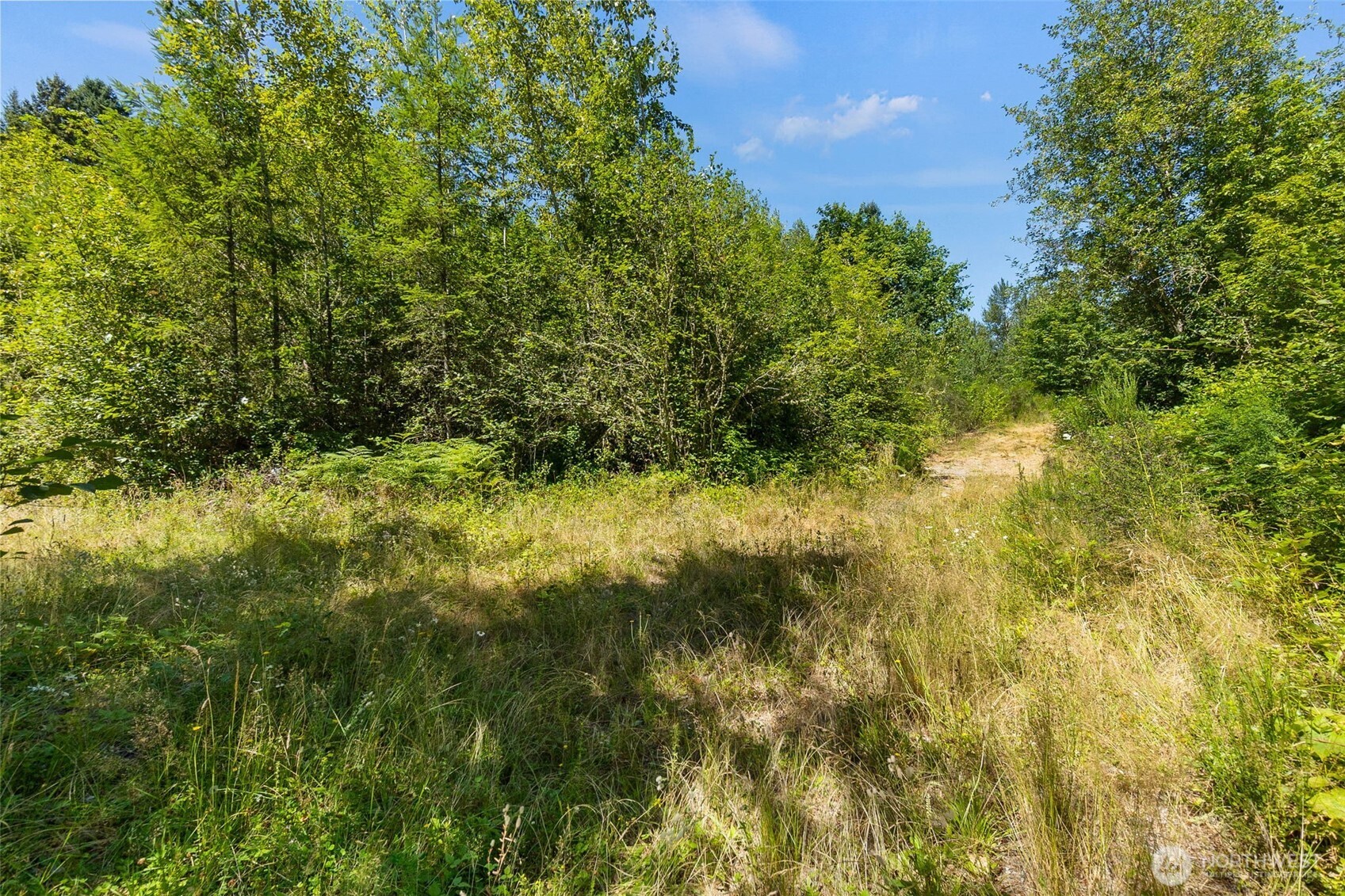 4321 Harts Lake Road Property Photo 26