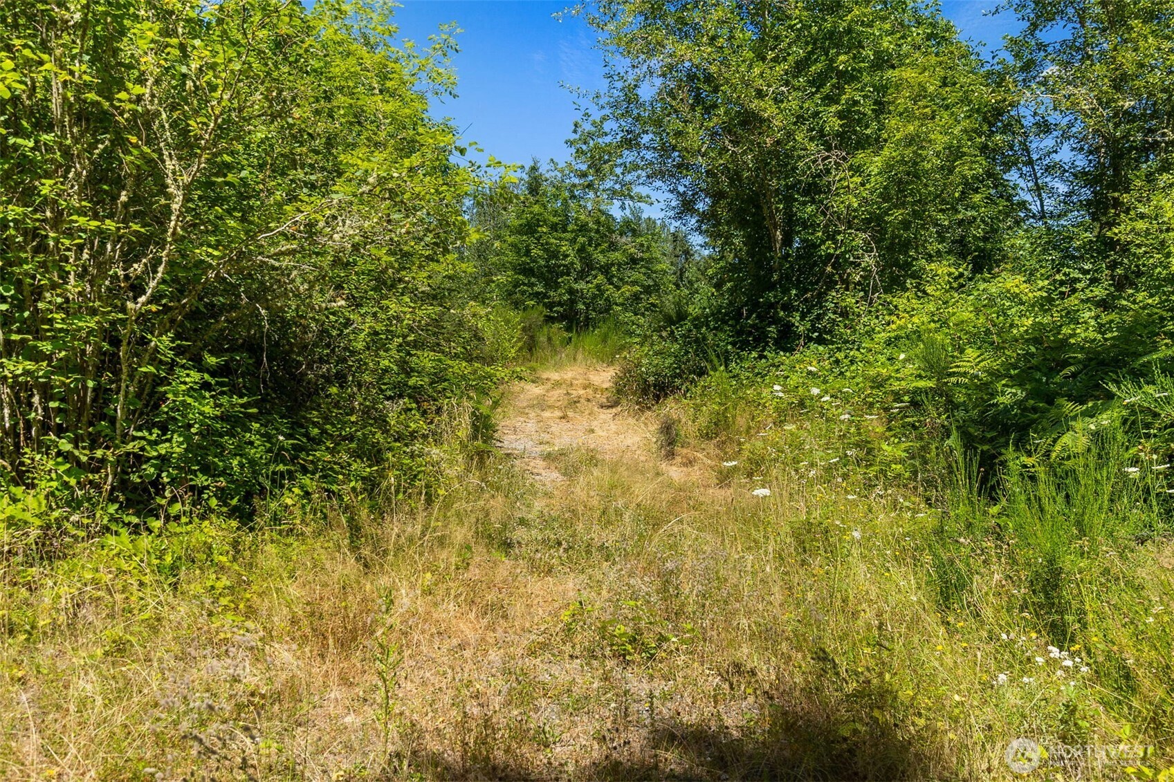 4321 Harts Lake Road Property Photo 27
