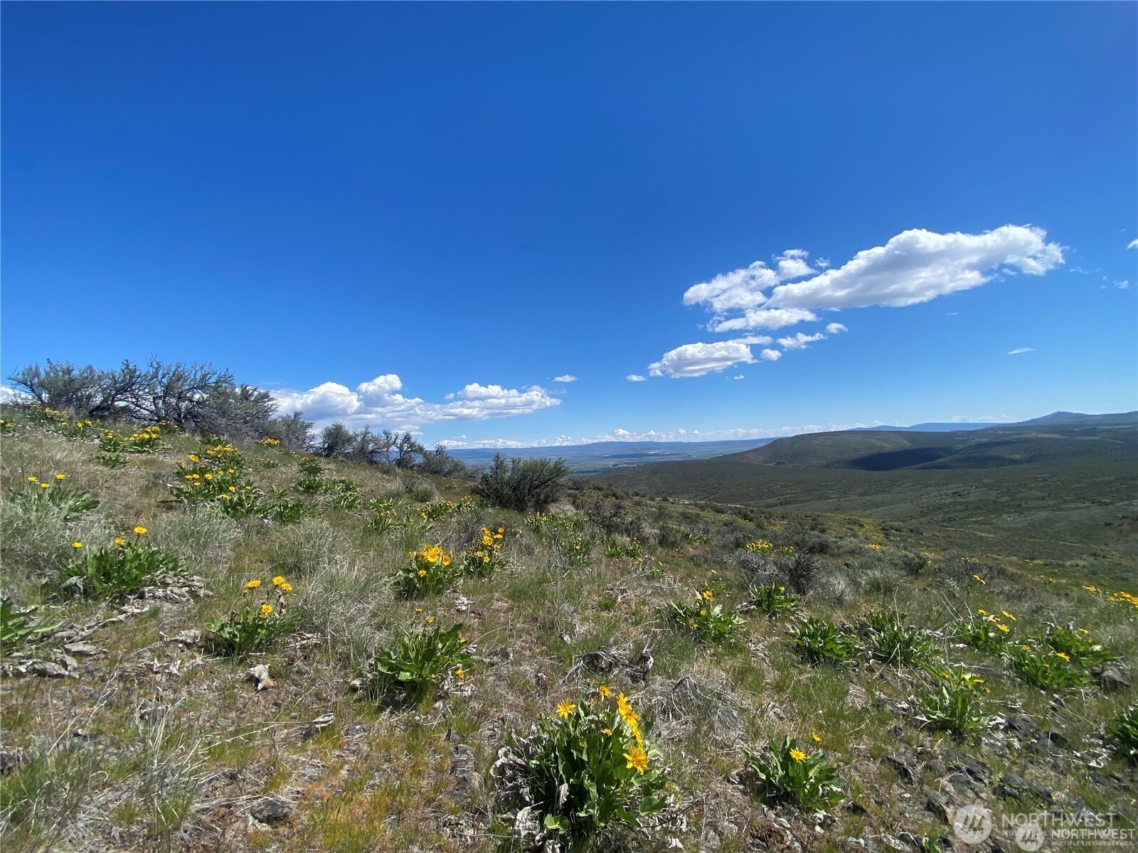 4 Long Tom Canyon Road Property Photo 3