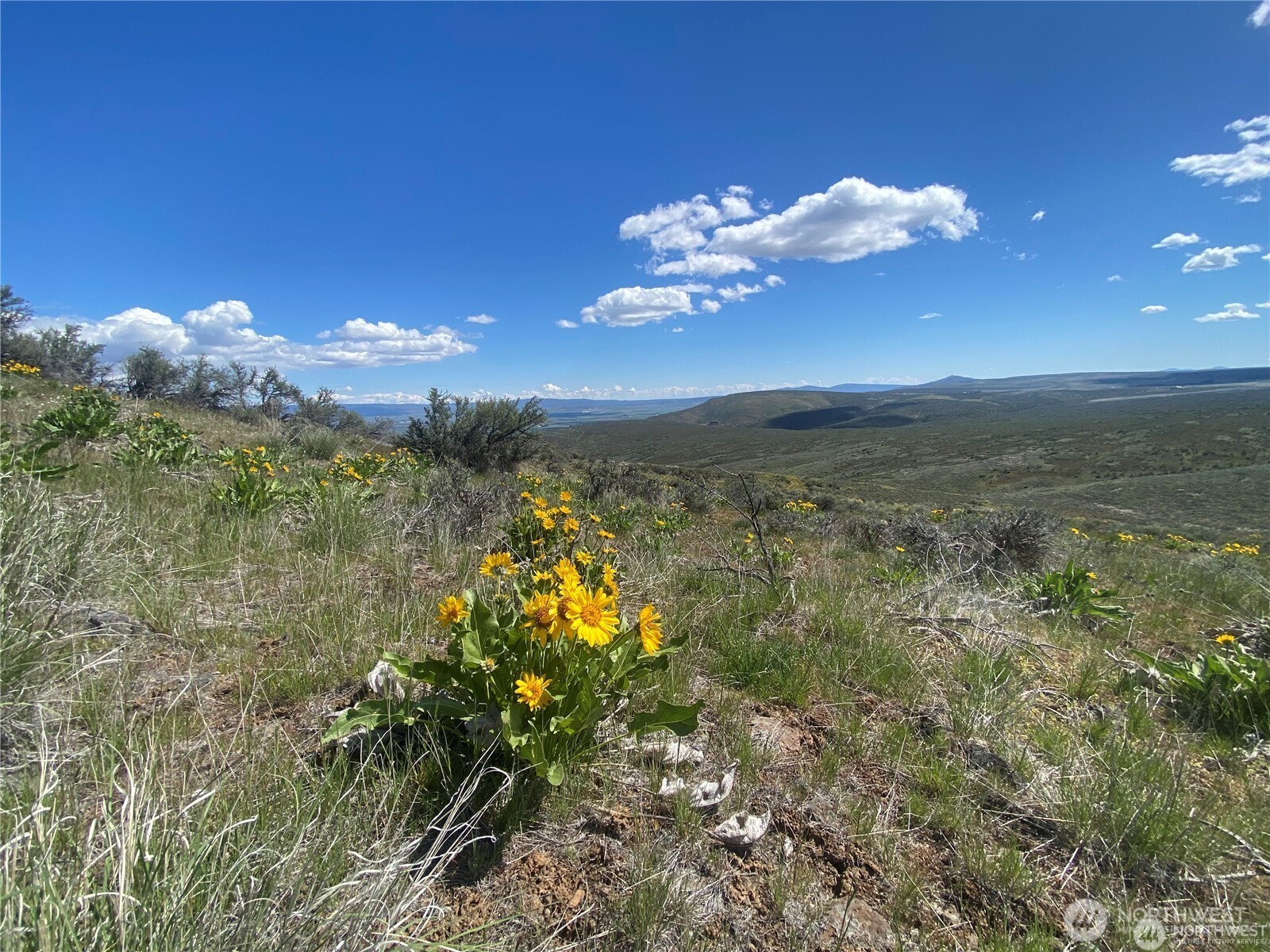 4 Long Tom Canyon Road Property Photo 4