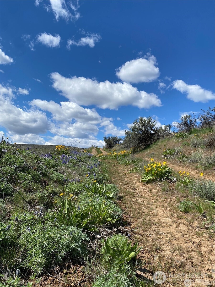 4 Long Tom Canyon Road Property Photo 12