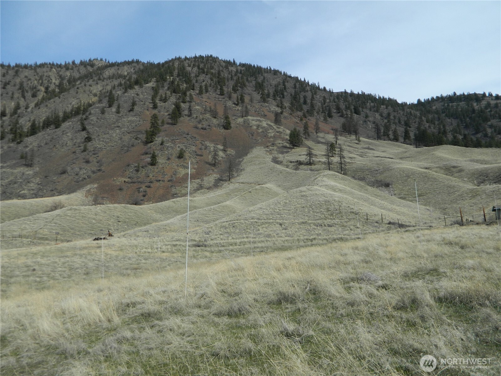 0 Mule Deer Loop Property Photo 4