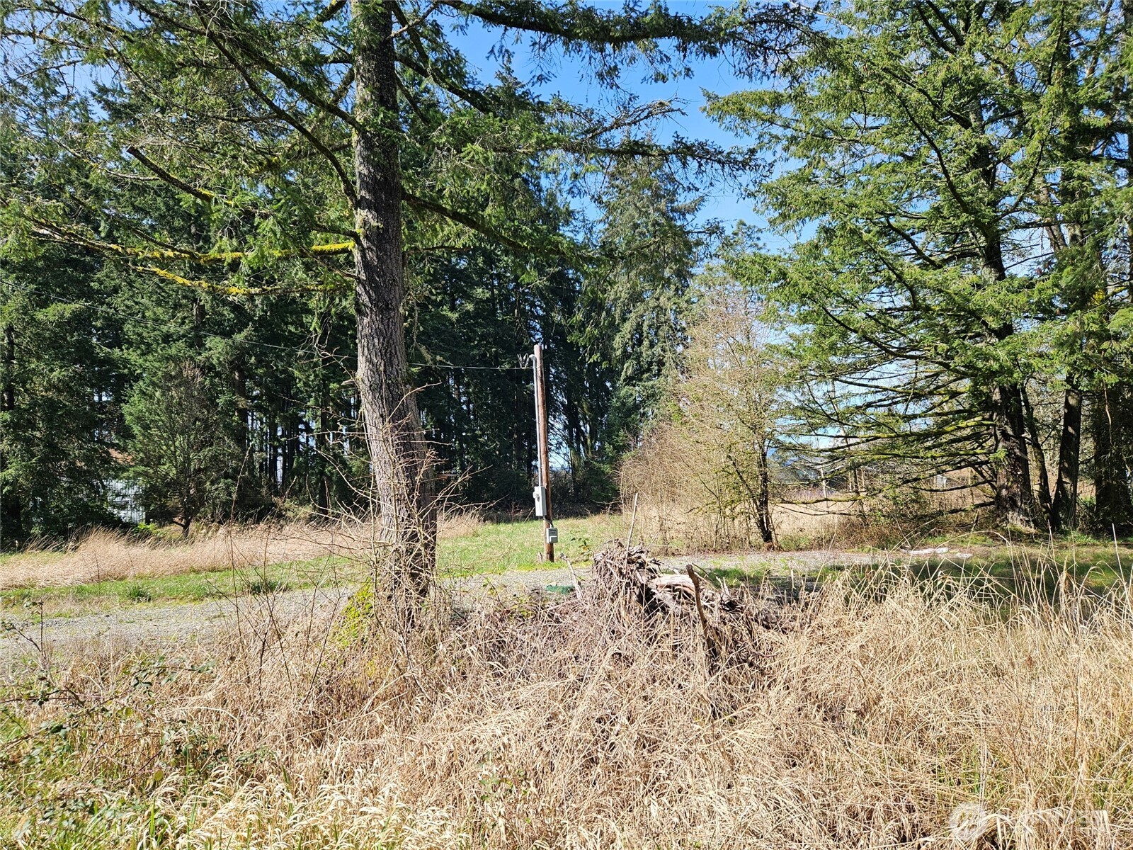 11735 Driver Street Property Photo 2