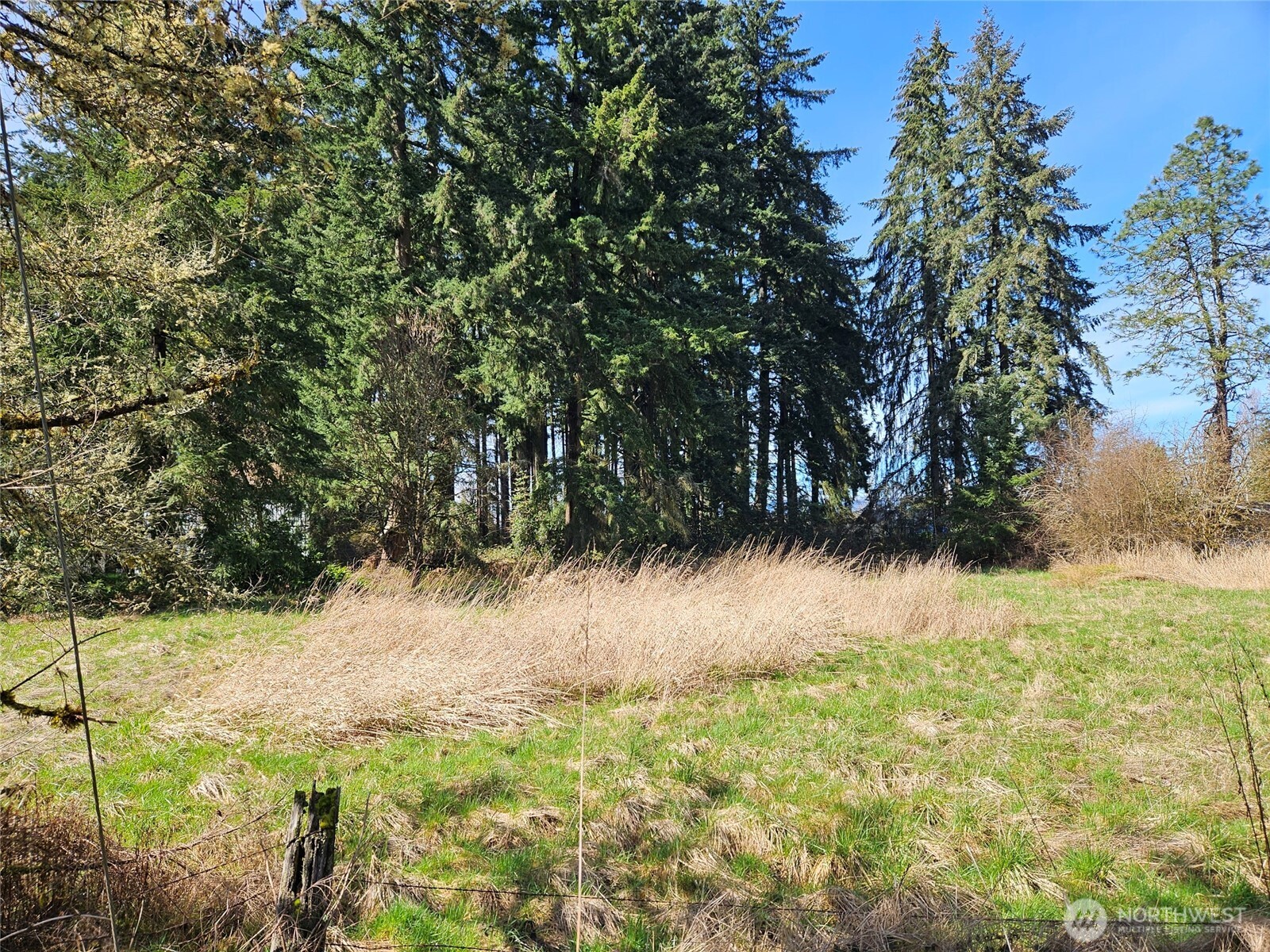 11735 Driver Street Property Photo 6